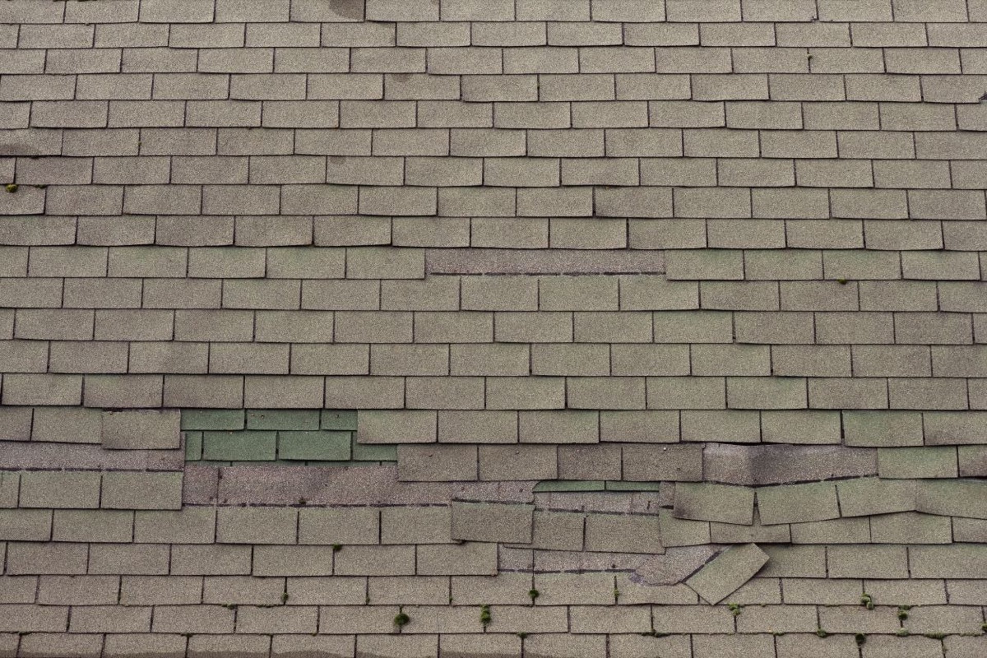 Catastrophe Storm Damage