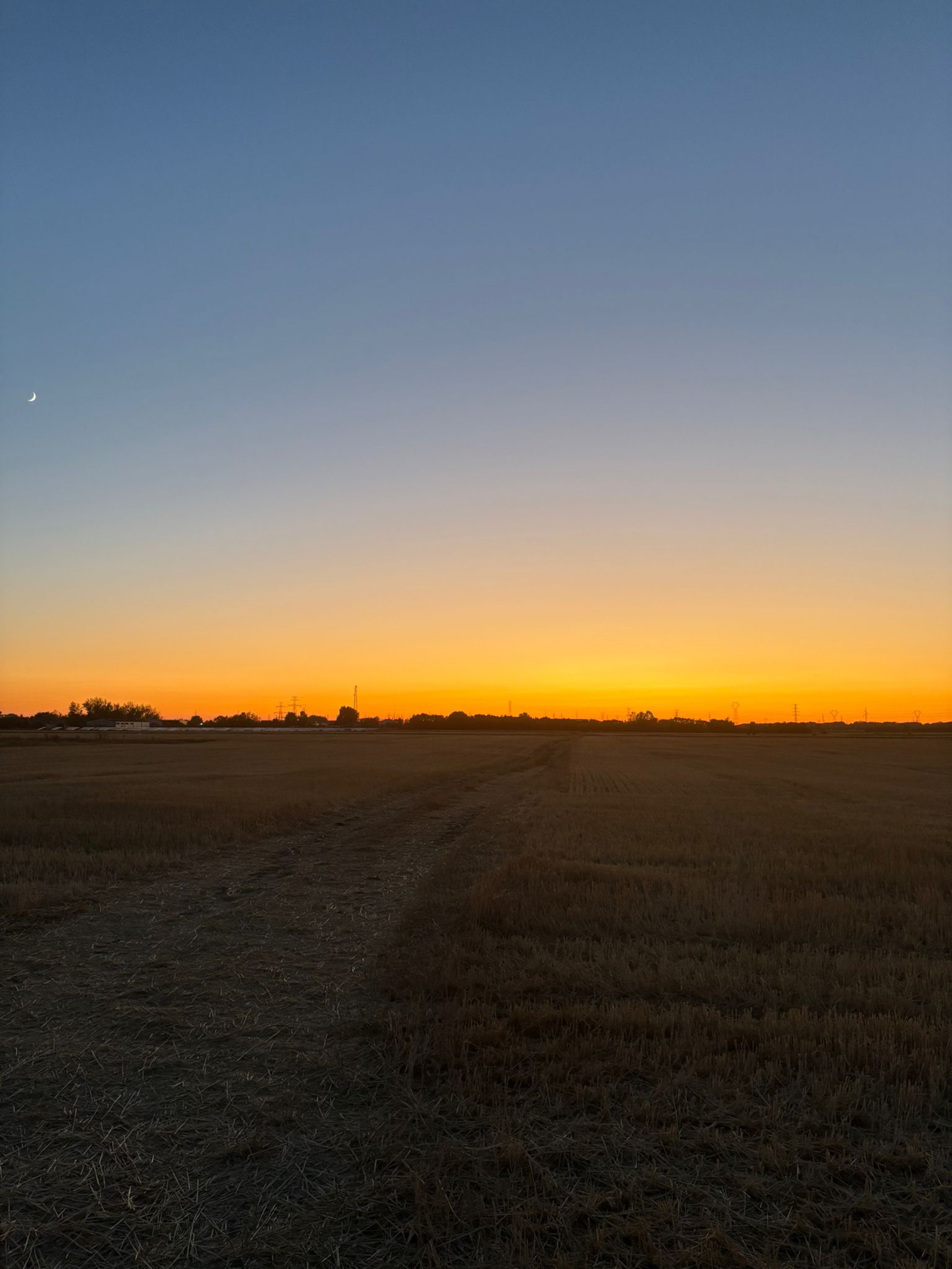 gray computer monitor