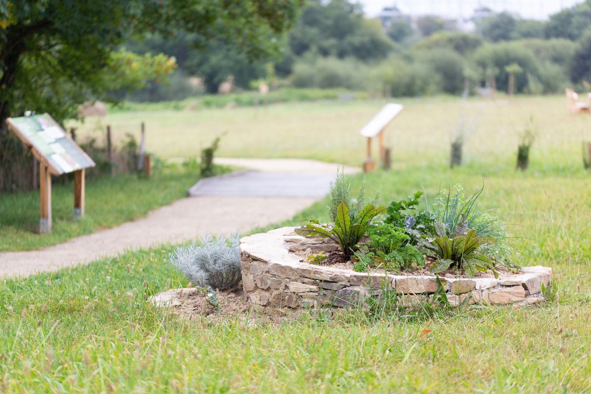 an abstract photo of a curved building with a blue sky in the background