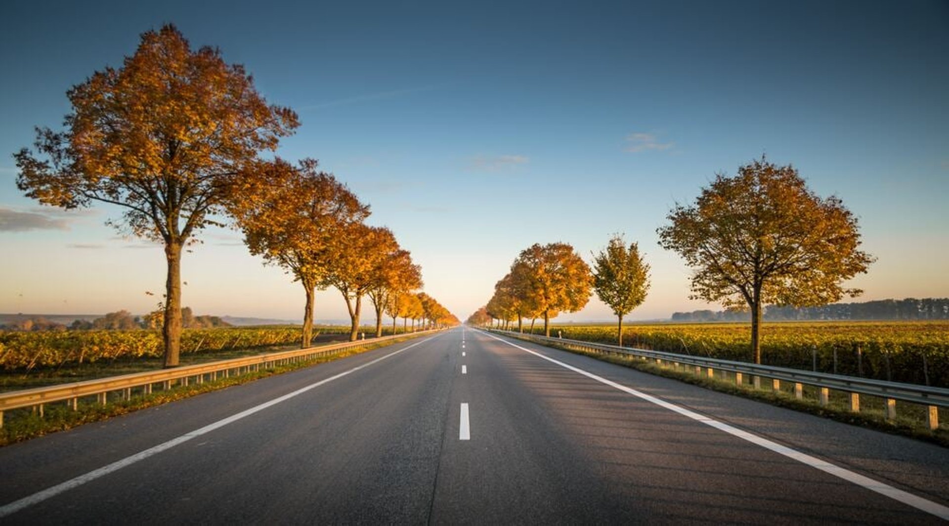 gray concrete road under blue sky during daytime