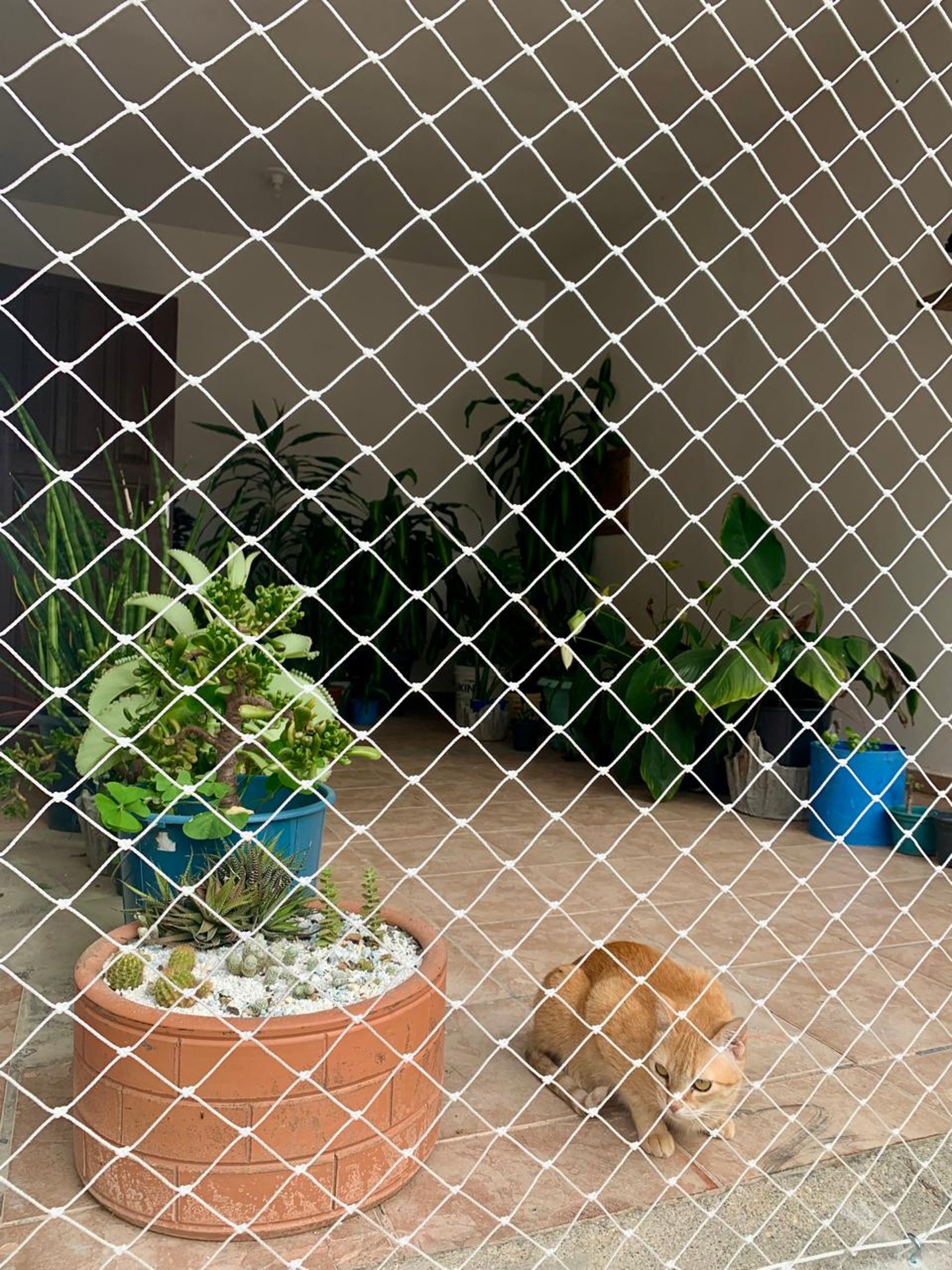 Rede de proteção instalada em área externa da casa