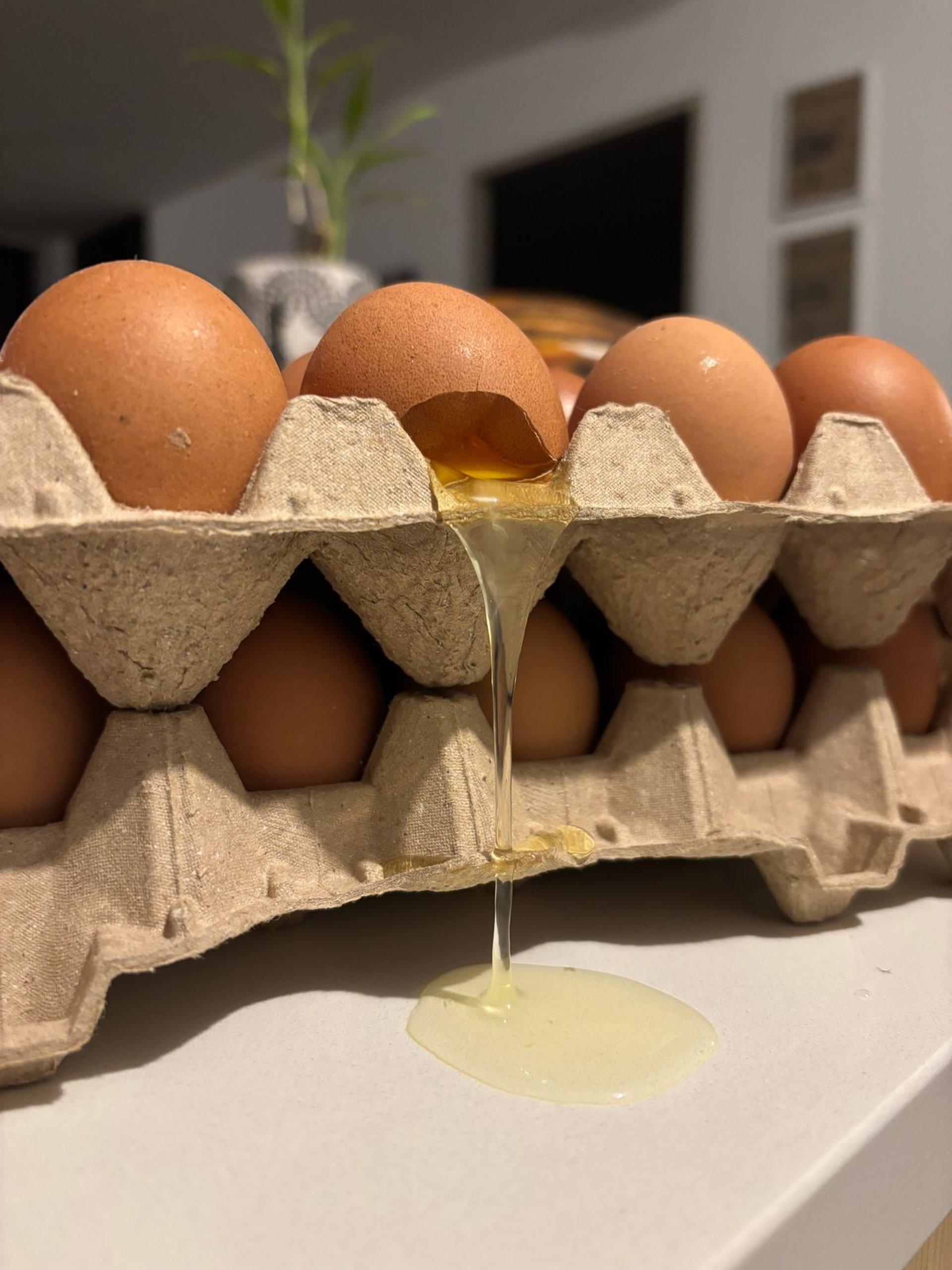 Brown eggs stacked in teal cartons