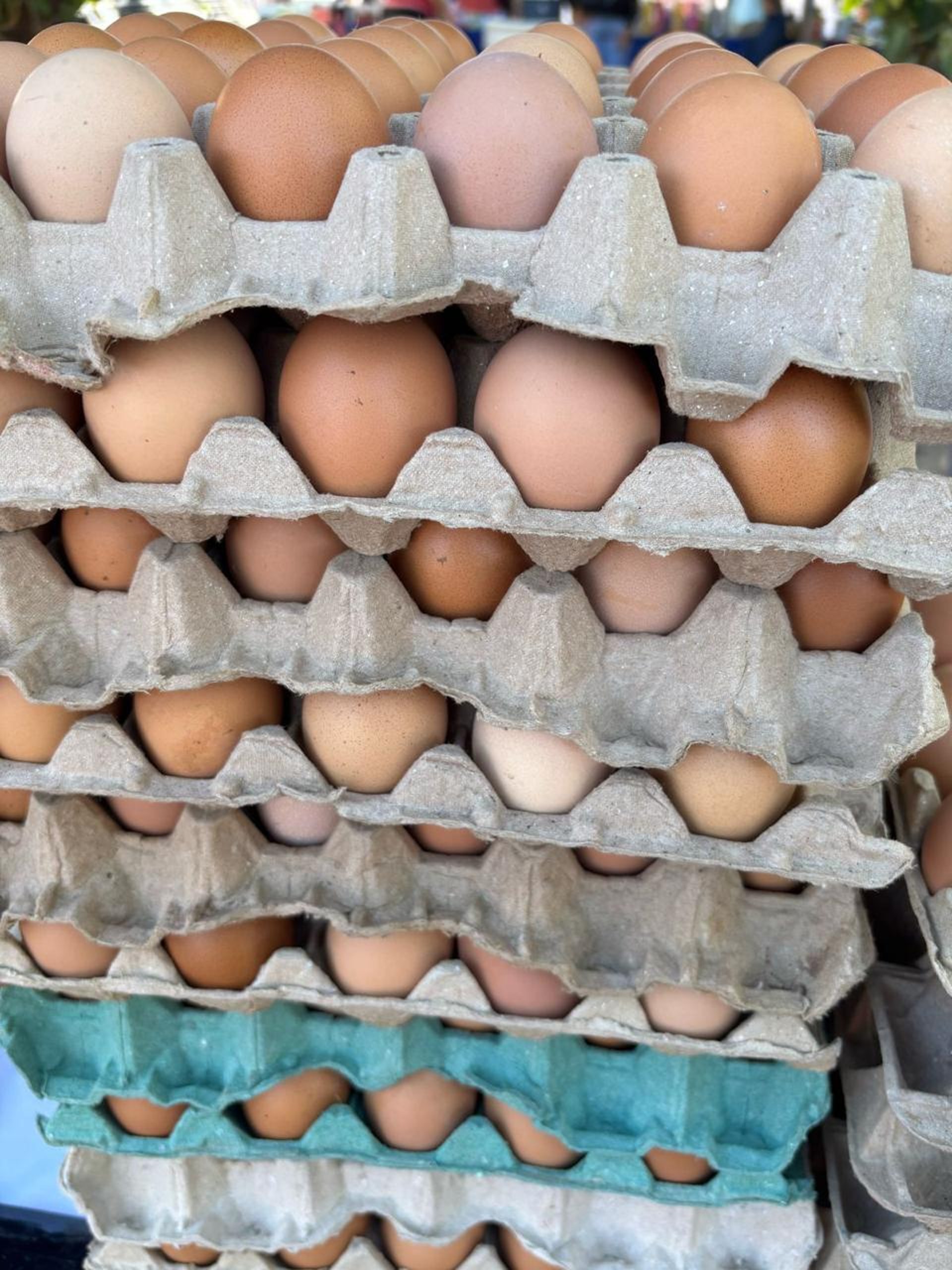 a purple carton filled with lots of eggs