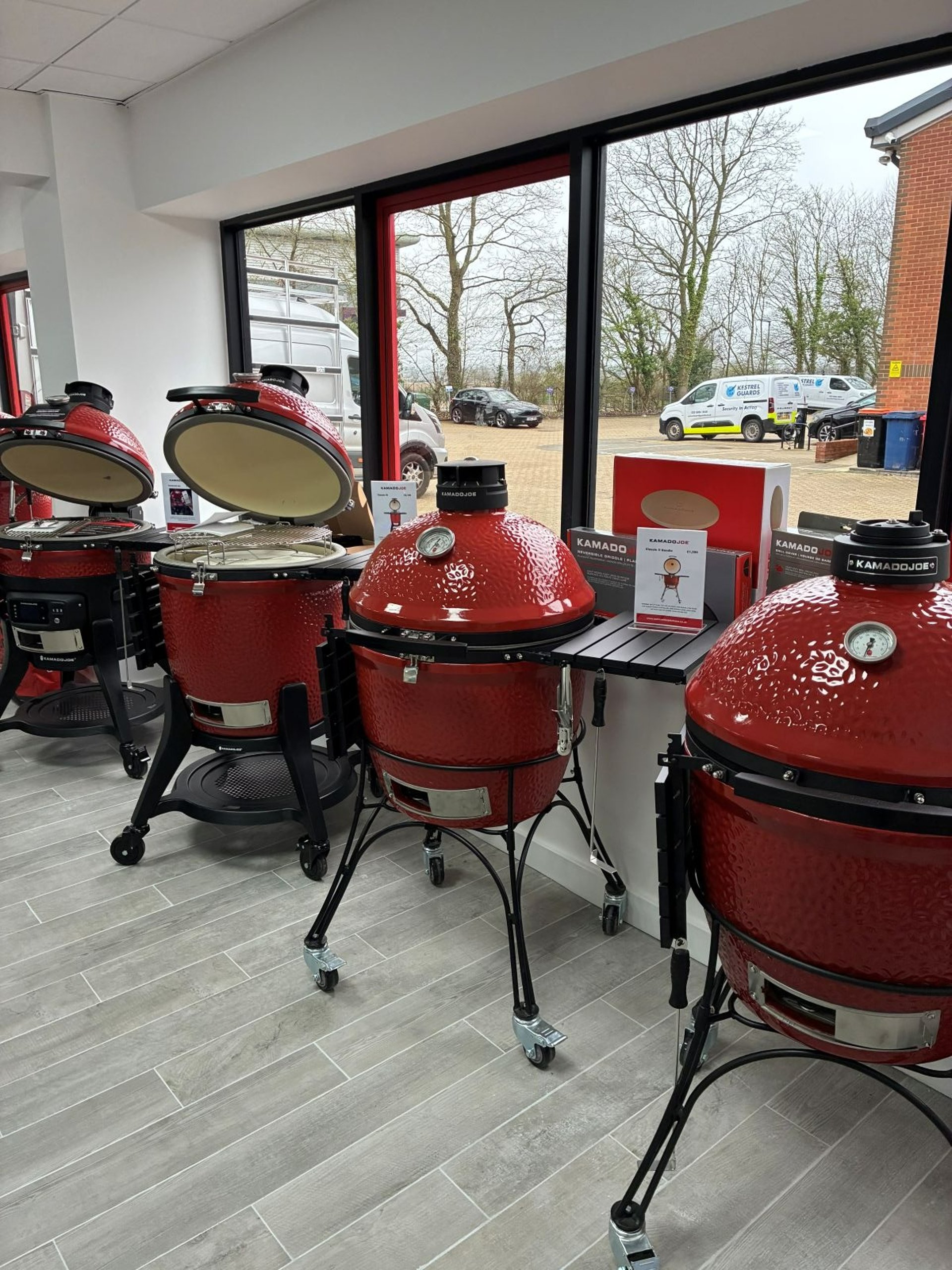 woman holding dried flower