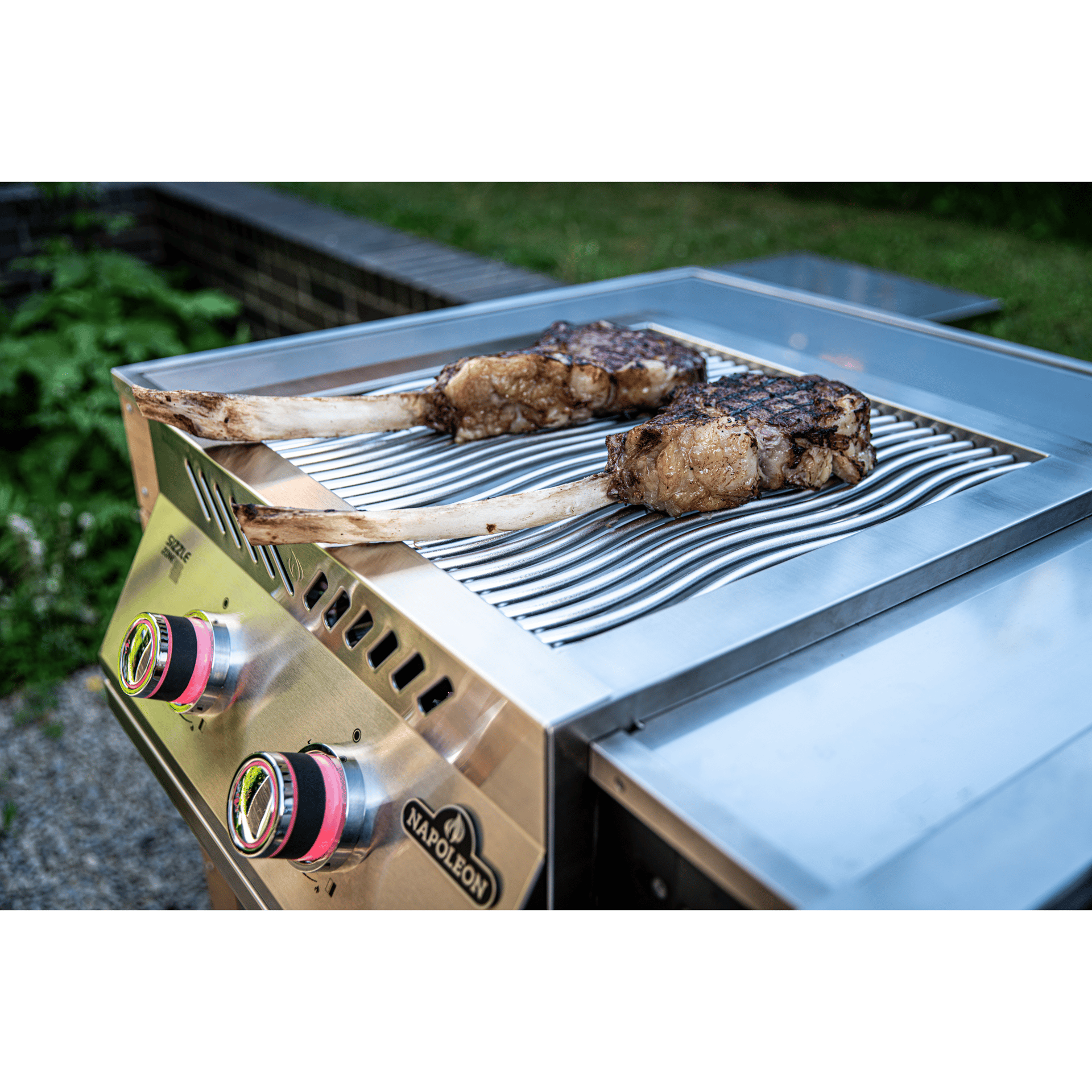 woman holding dried flower