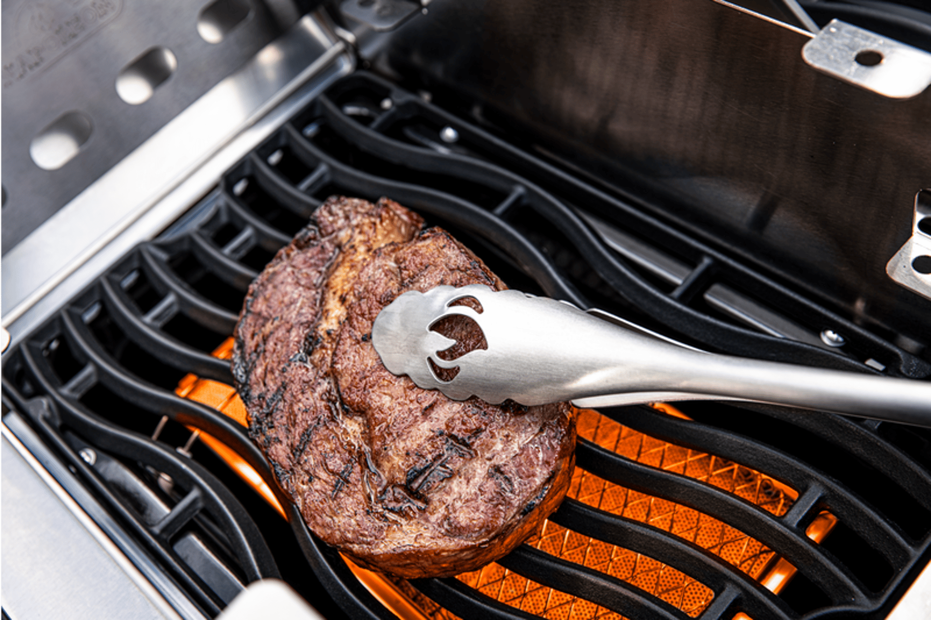 woman holding dried flower