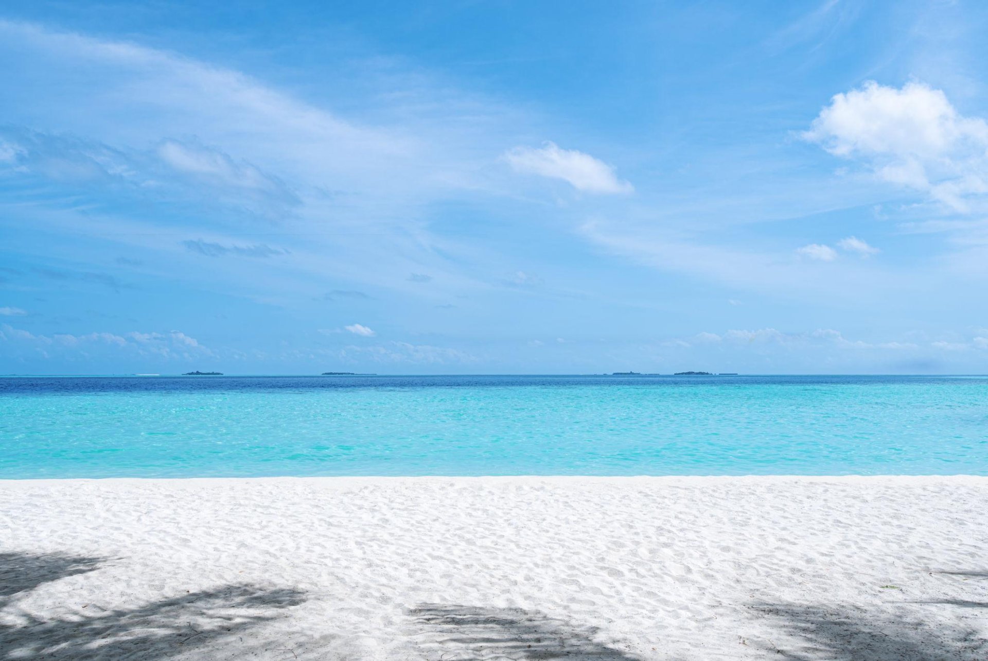 black and white bed linen