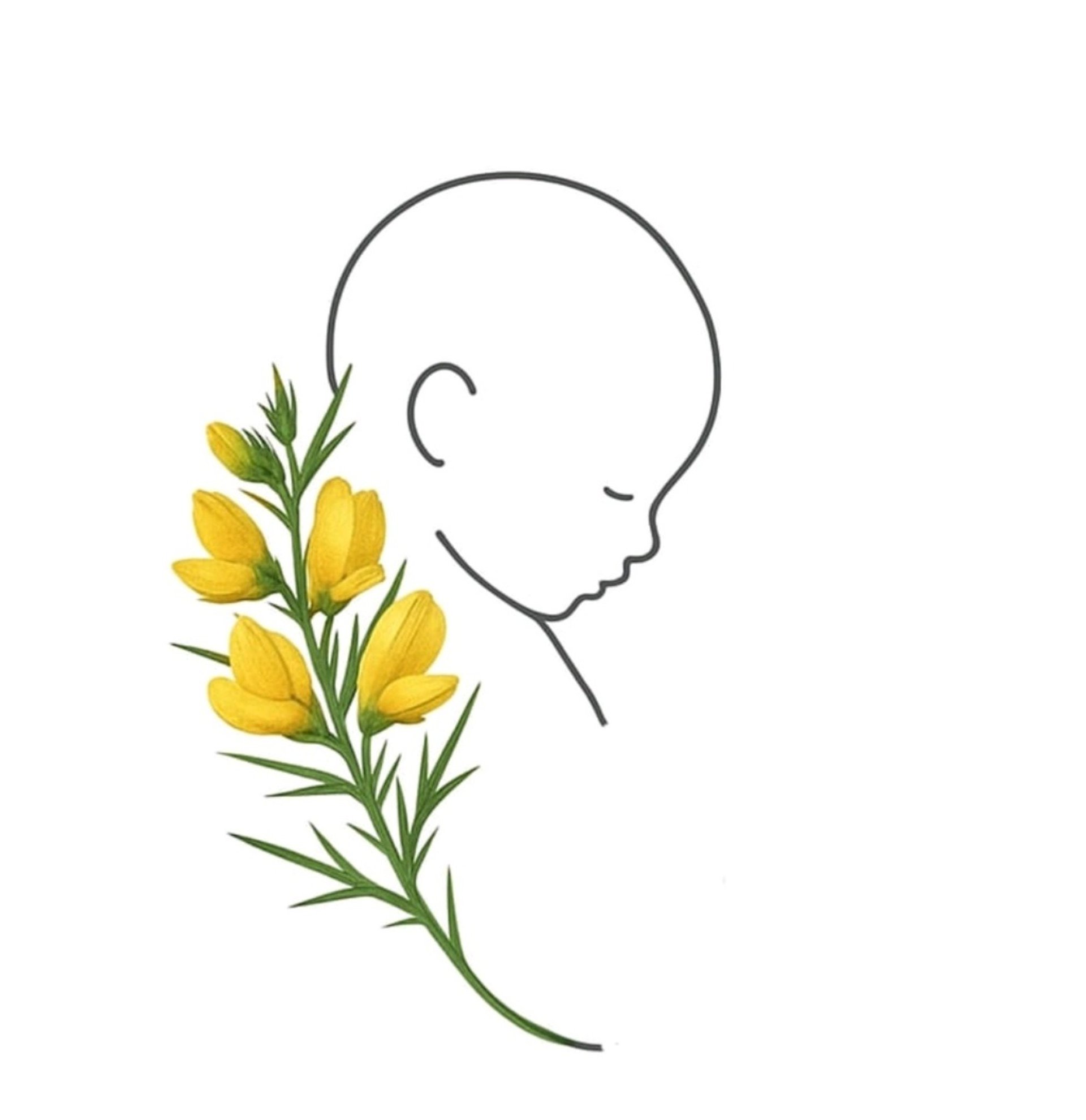 black and white bed linen