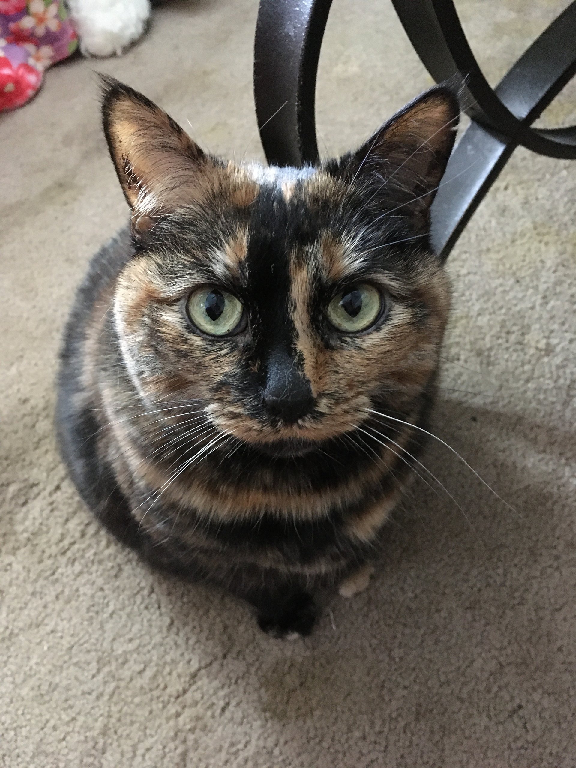 woman wearing yellow long-sleeved dress under white clouds and blue sky during daytime
