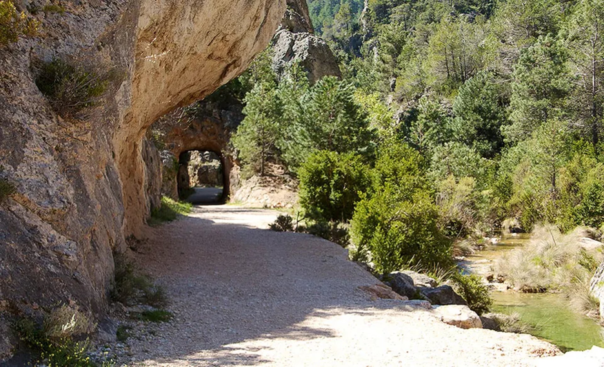woman wearing yellow long-sleeved dress under white clouds and blue sky during daytime