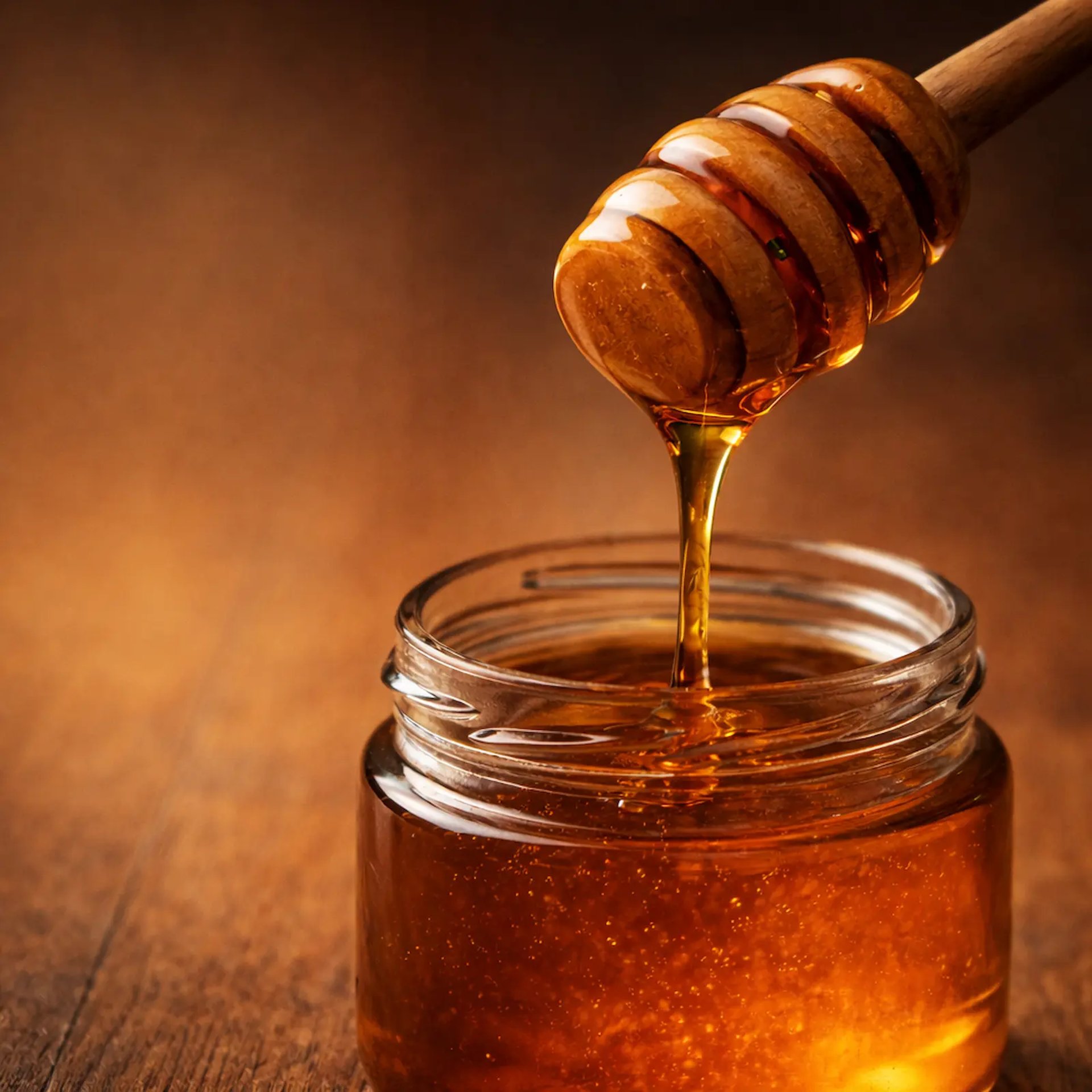 stingless bee honey Ancient Gift Farm