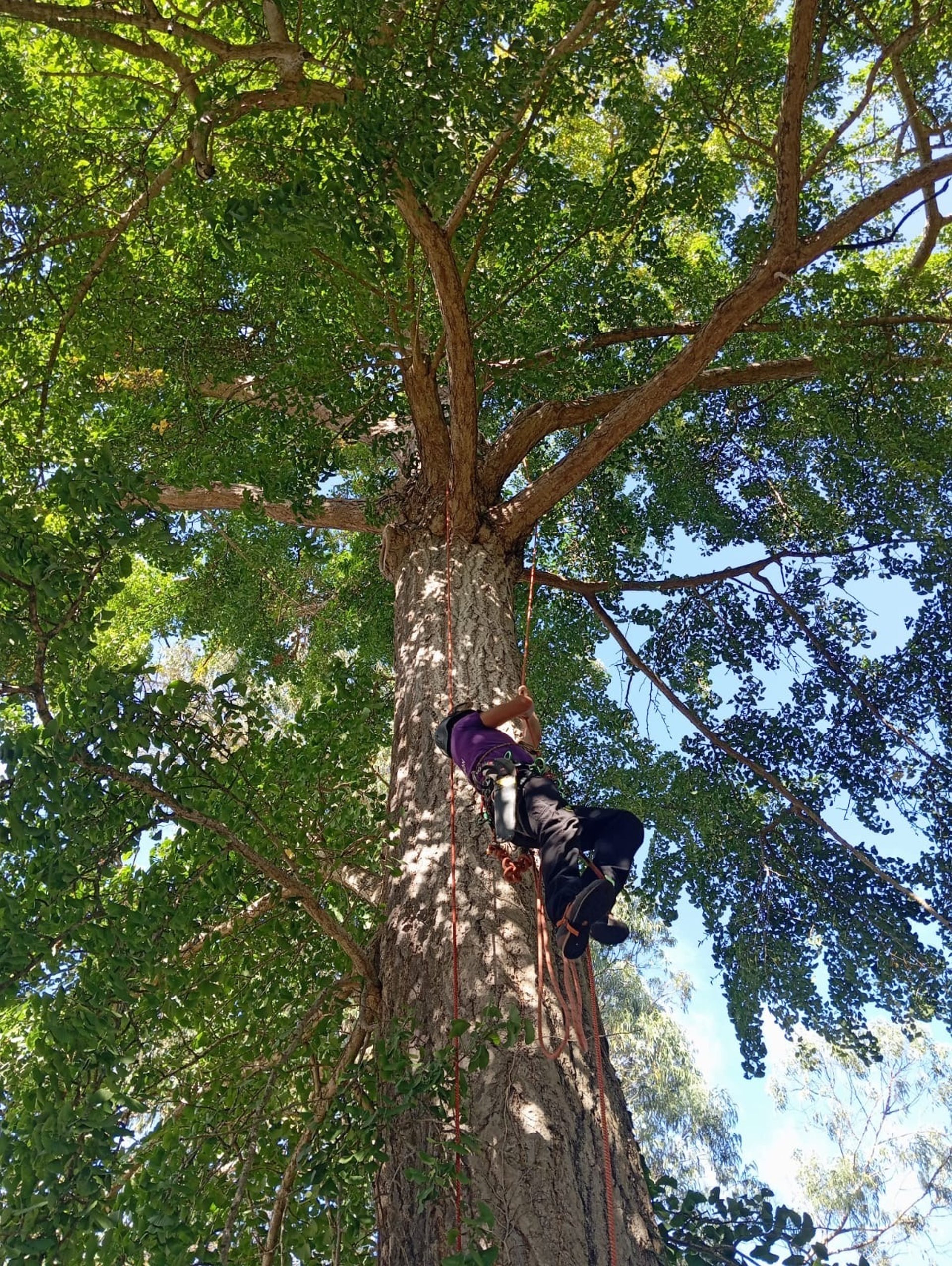woman wearing yellow long-sleeved dress under white clouds and blue sky during daytime