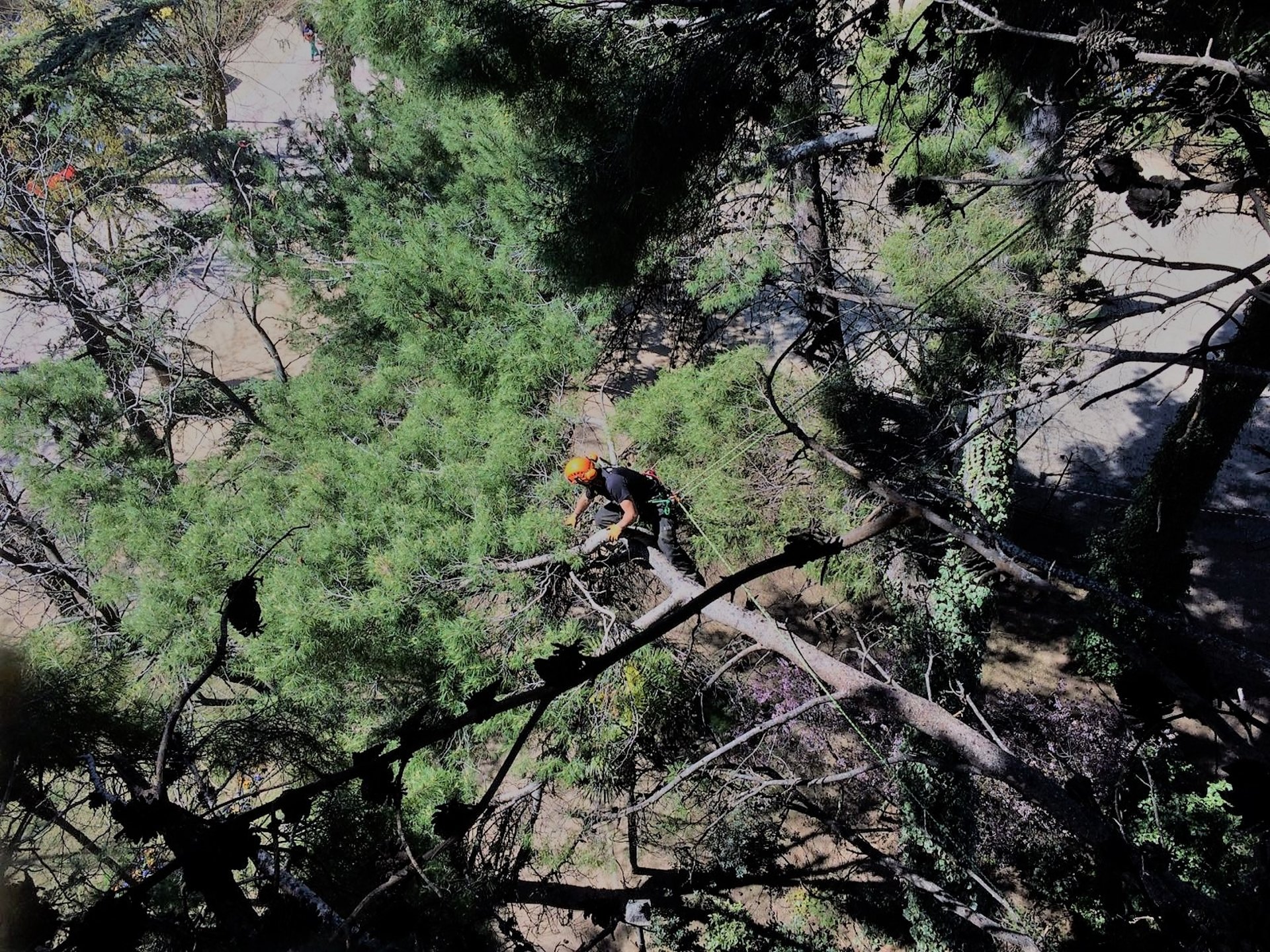 woman wearing yellow long-sleeved dress under white clouds and blue sky during daytime