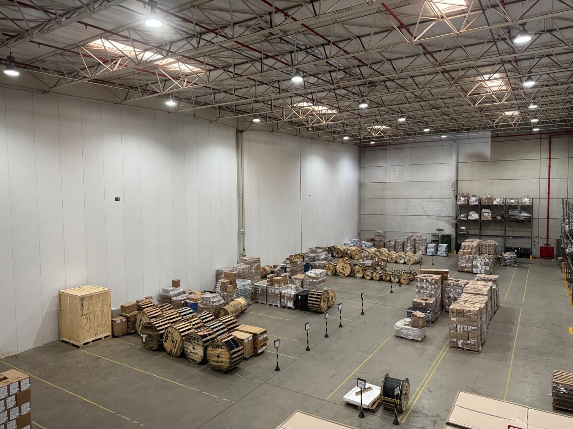 person holding white round ball