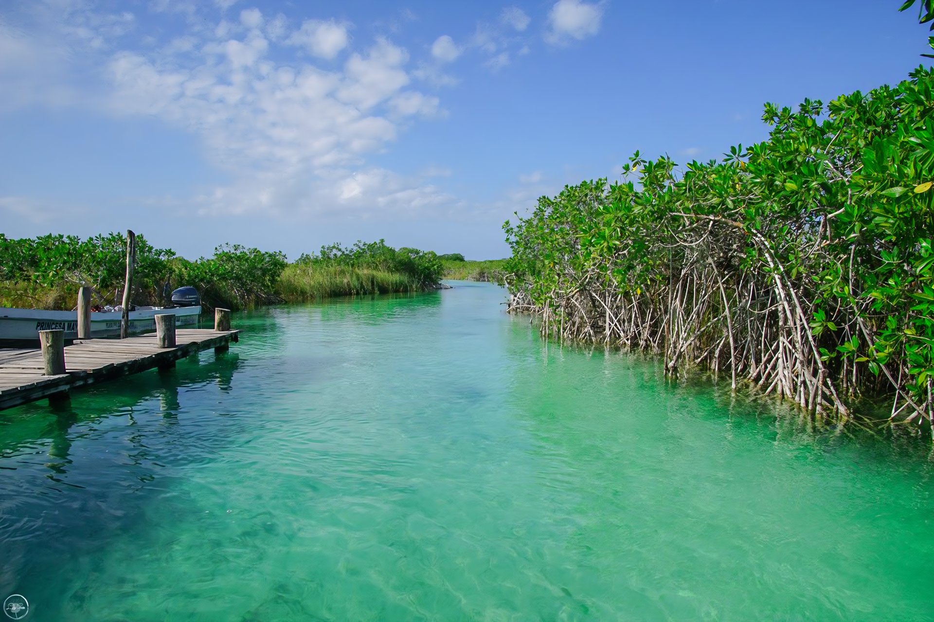 an abstract photo of a curved building with a blue sky in the background