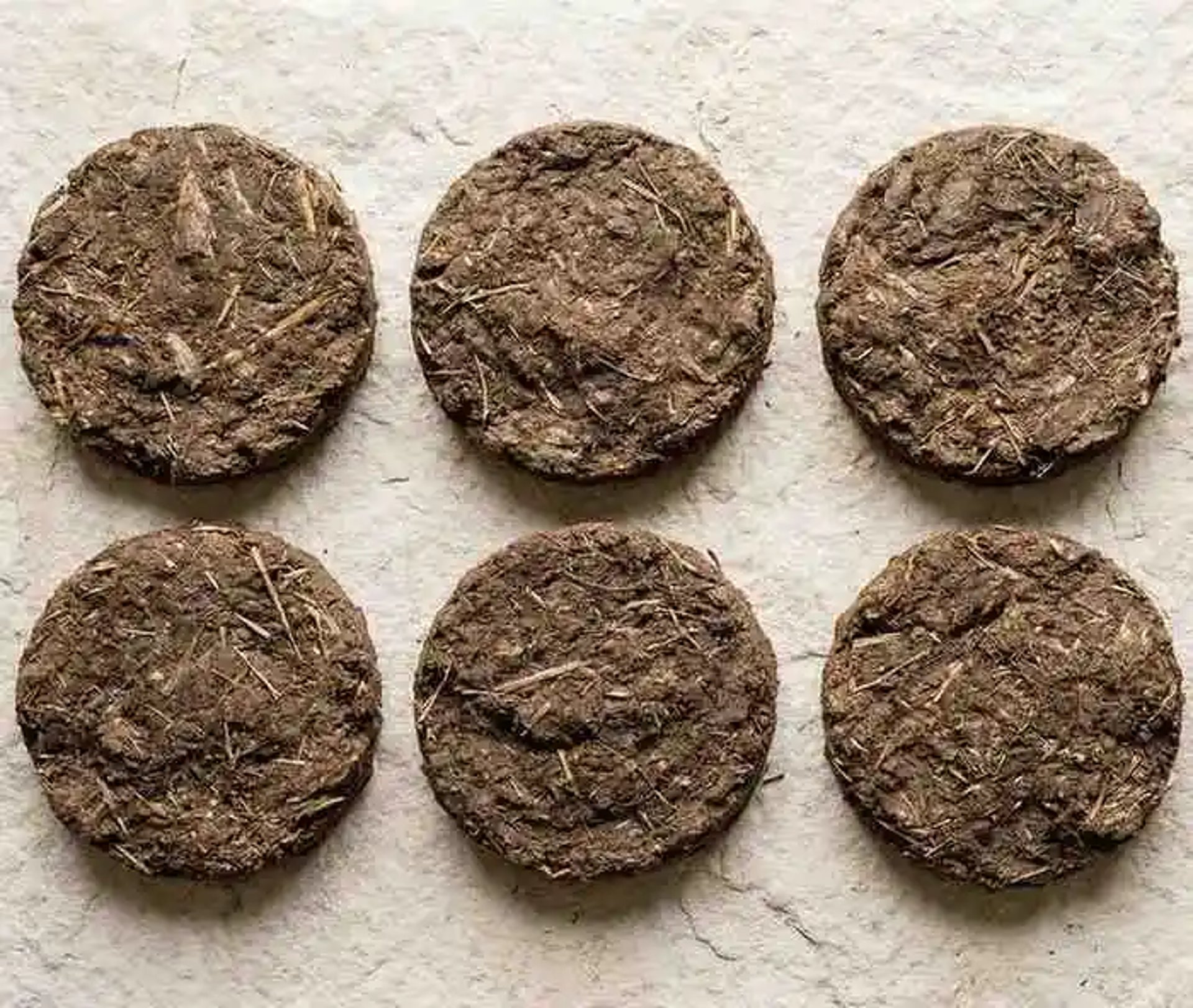 dried cow dung cakes