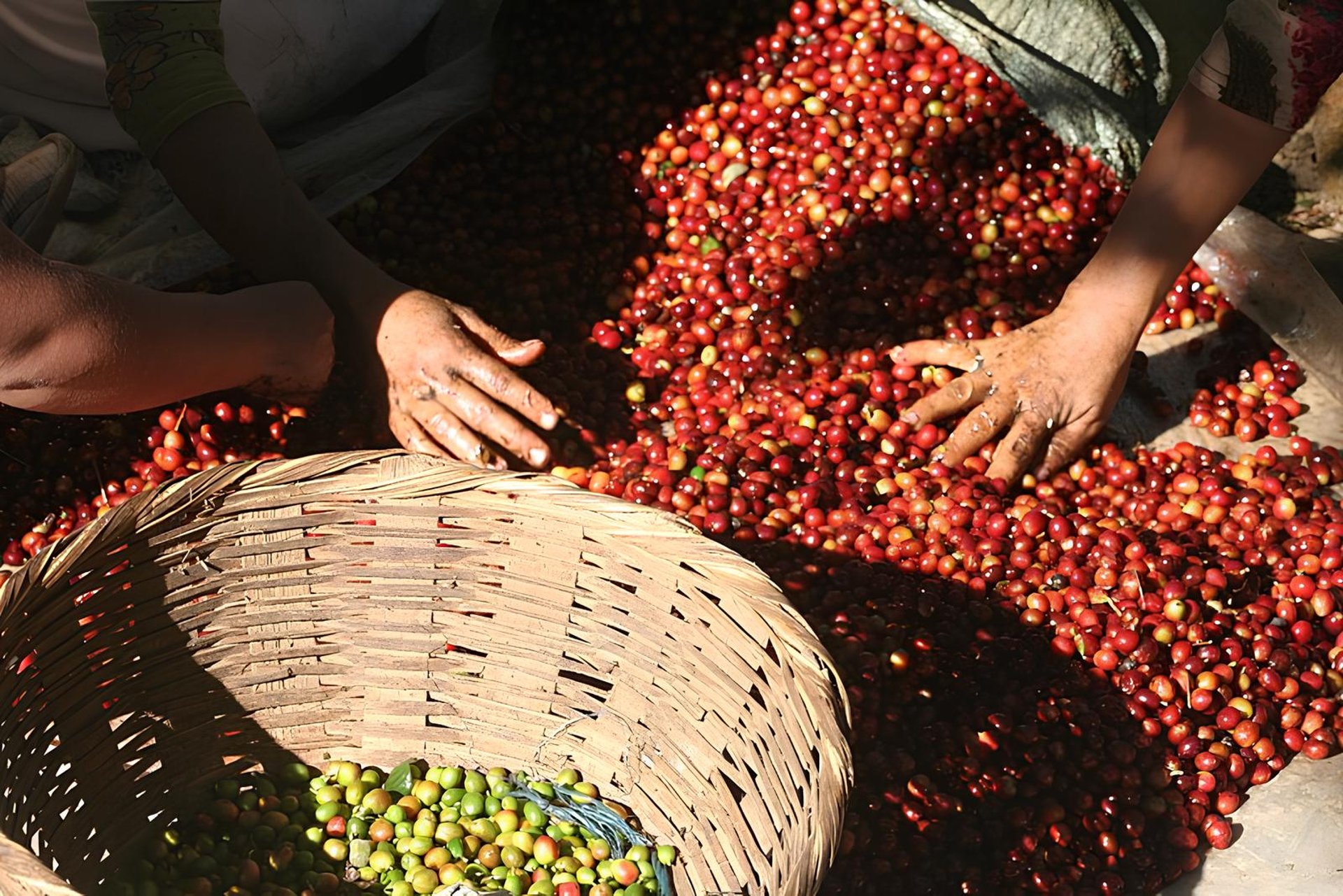 an abstract photo of a curved building with a blue sky in the background