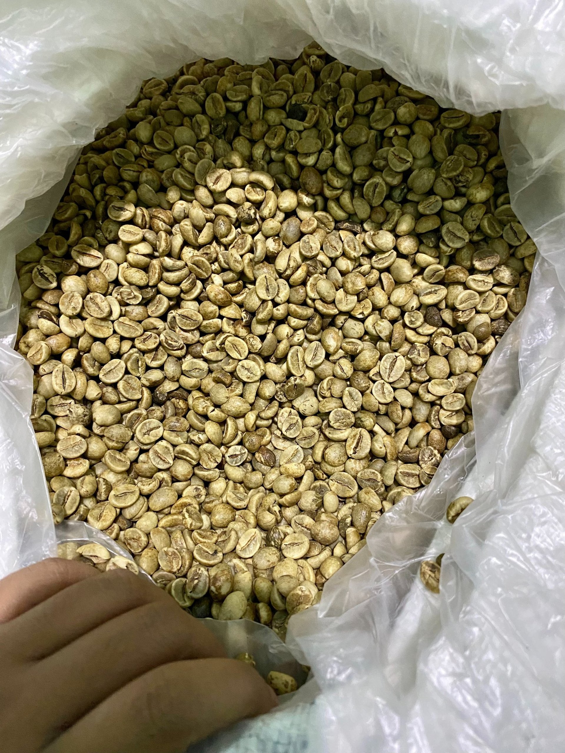 an abstract photo of a curved building with a blue sky in the background