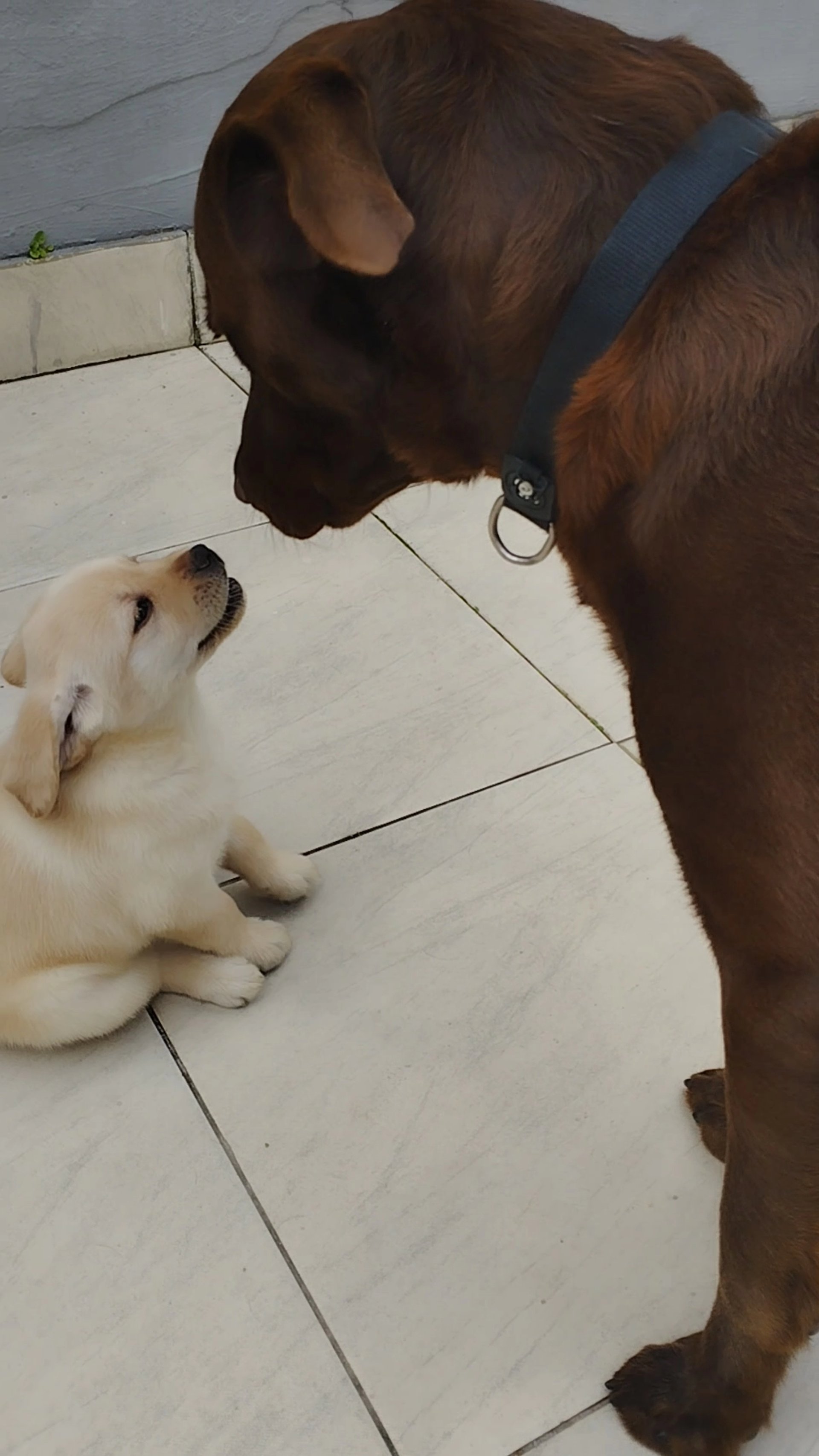 person wearing grey knit sweater