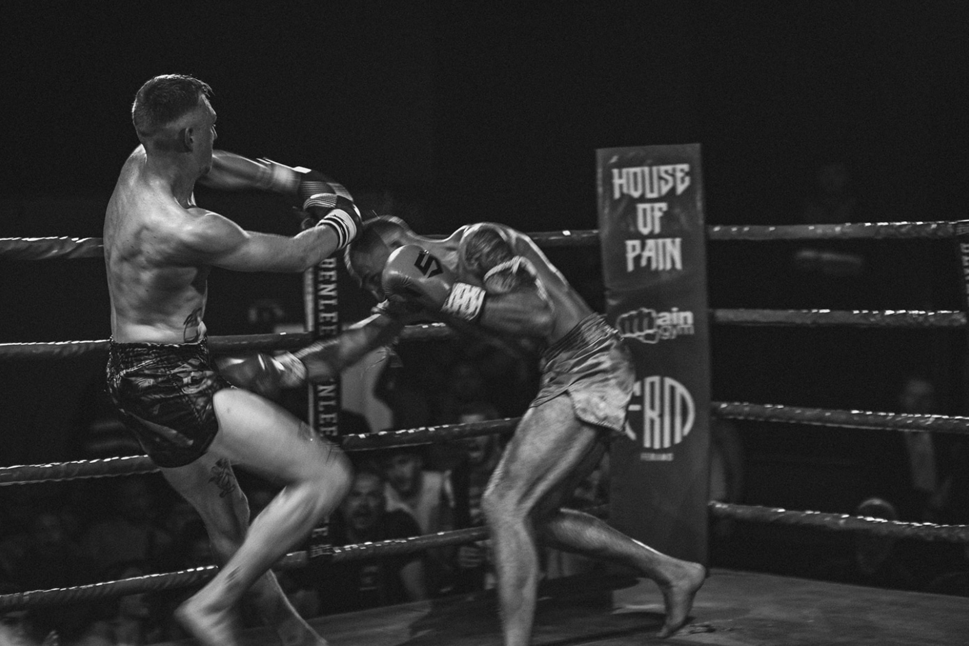 black blue and yellow textile