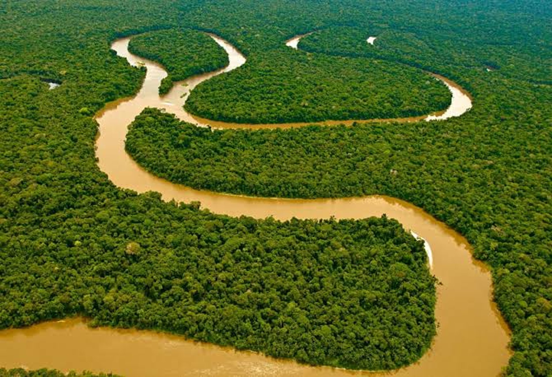 Amazon Rainforest