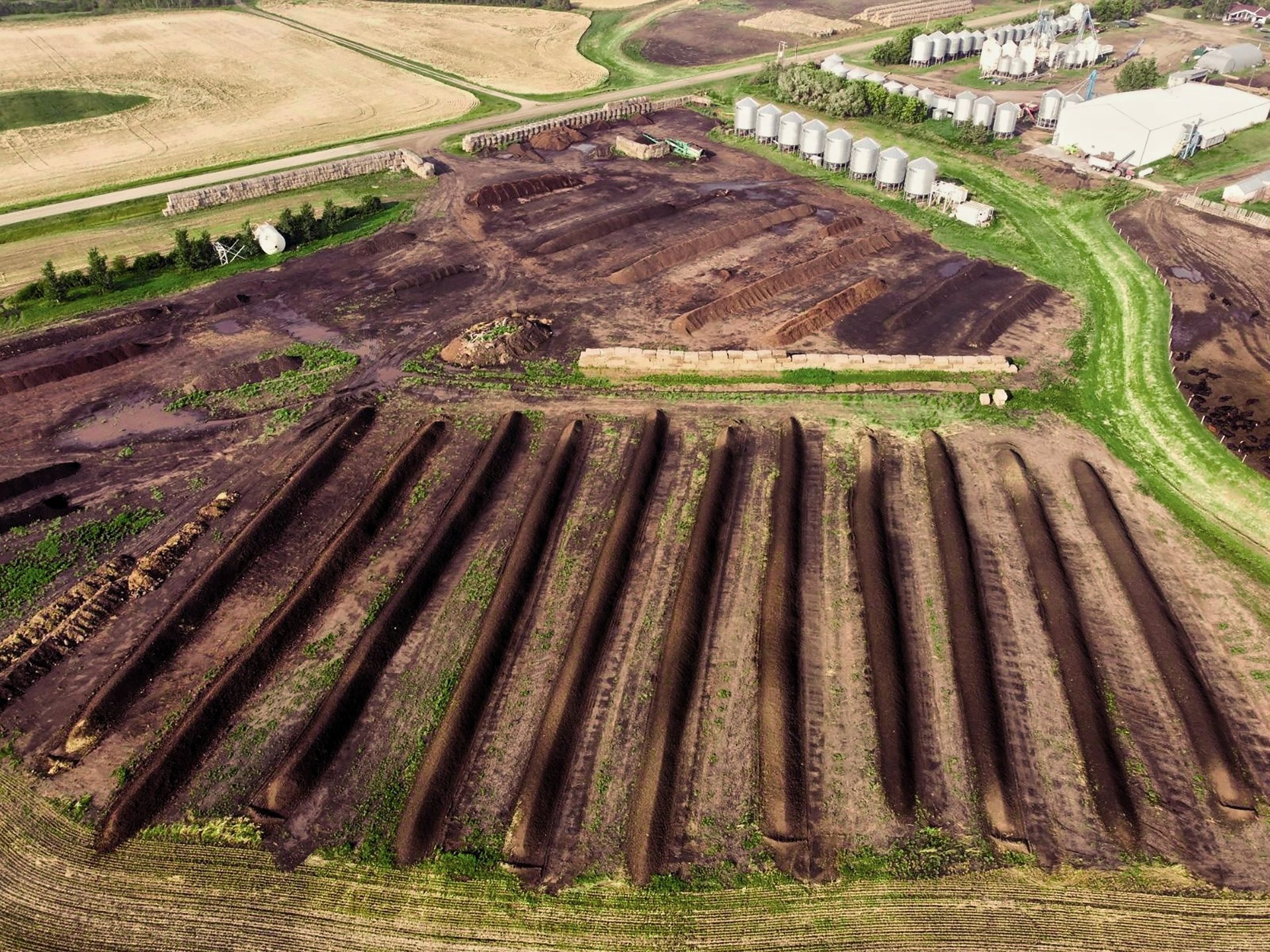 green grass field during daytime
