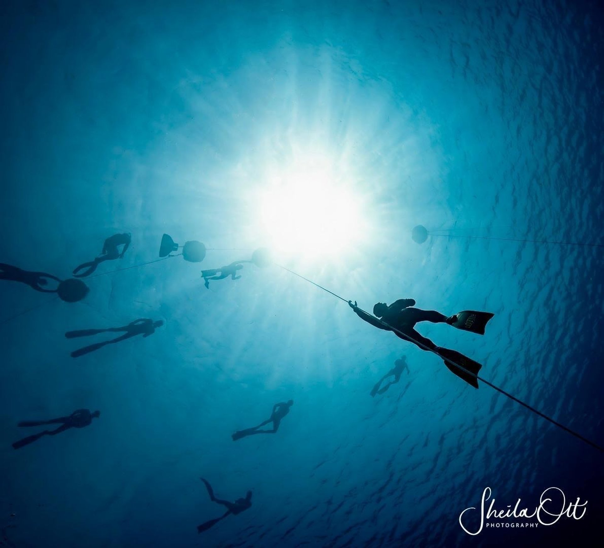 Picture from depth looking up at the surface to a group of freedivers in clear water