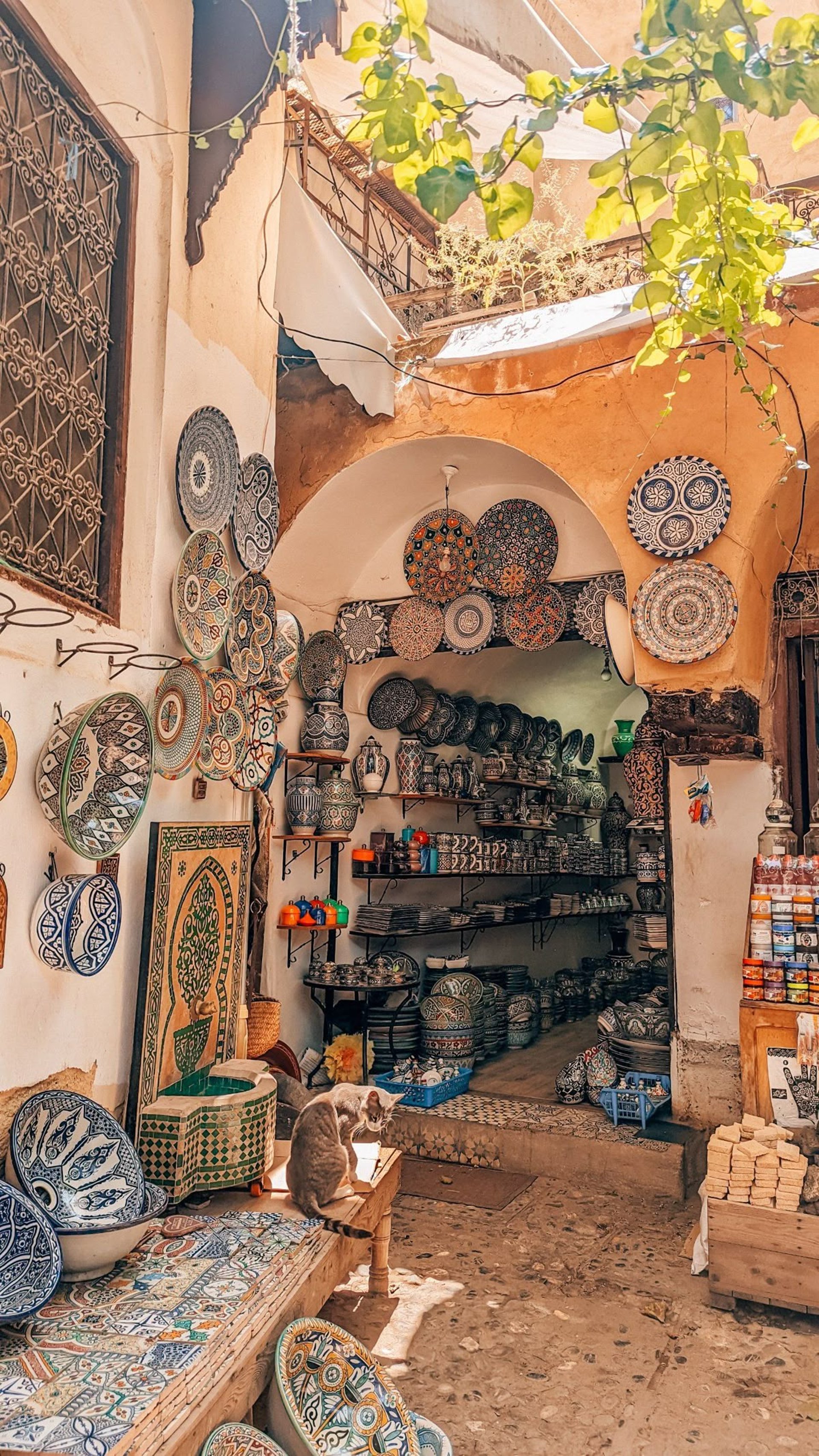 woman holding dried flower