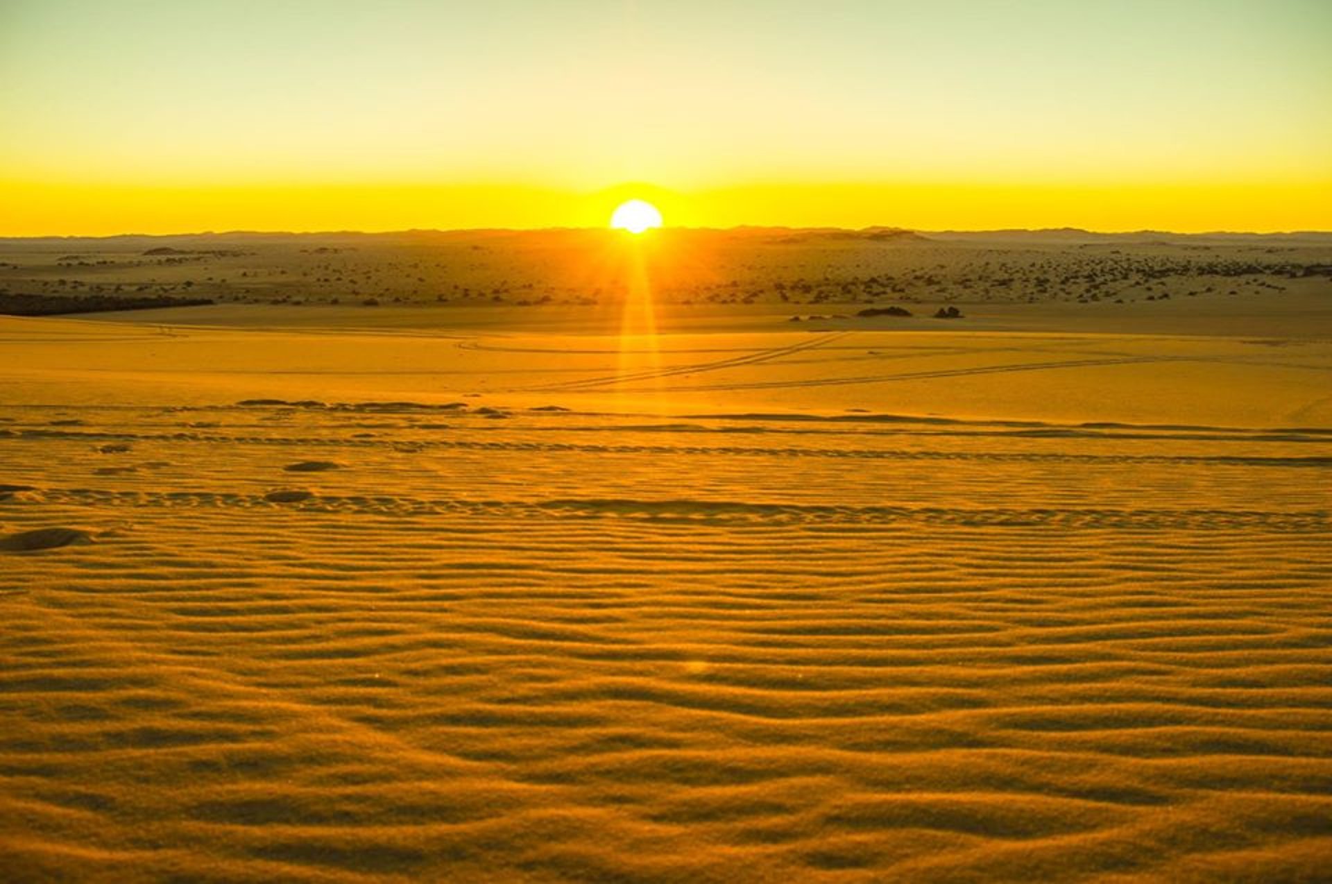 woman wearing yellow long-sleeved dress under white clouds and blue sky during daytime