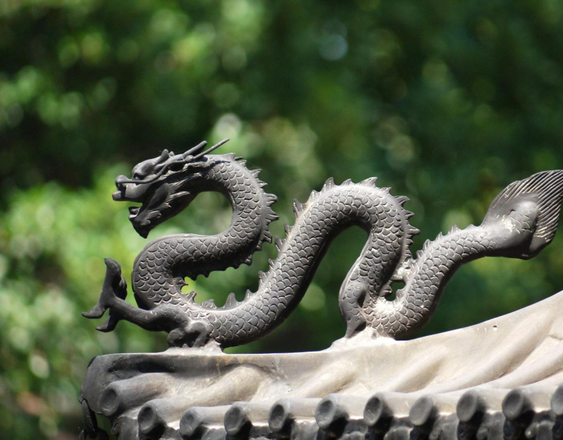 woman wearing yellow long-sleeved dress under white clouds and blue sky during daytime