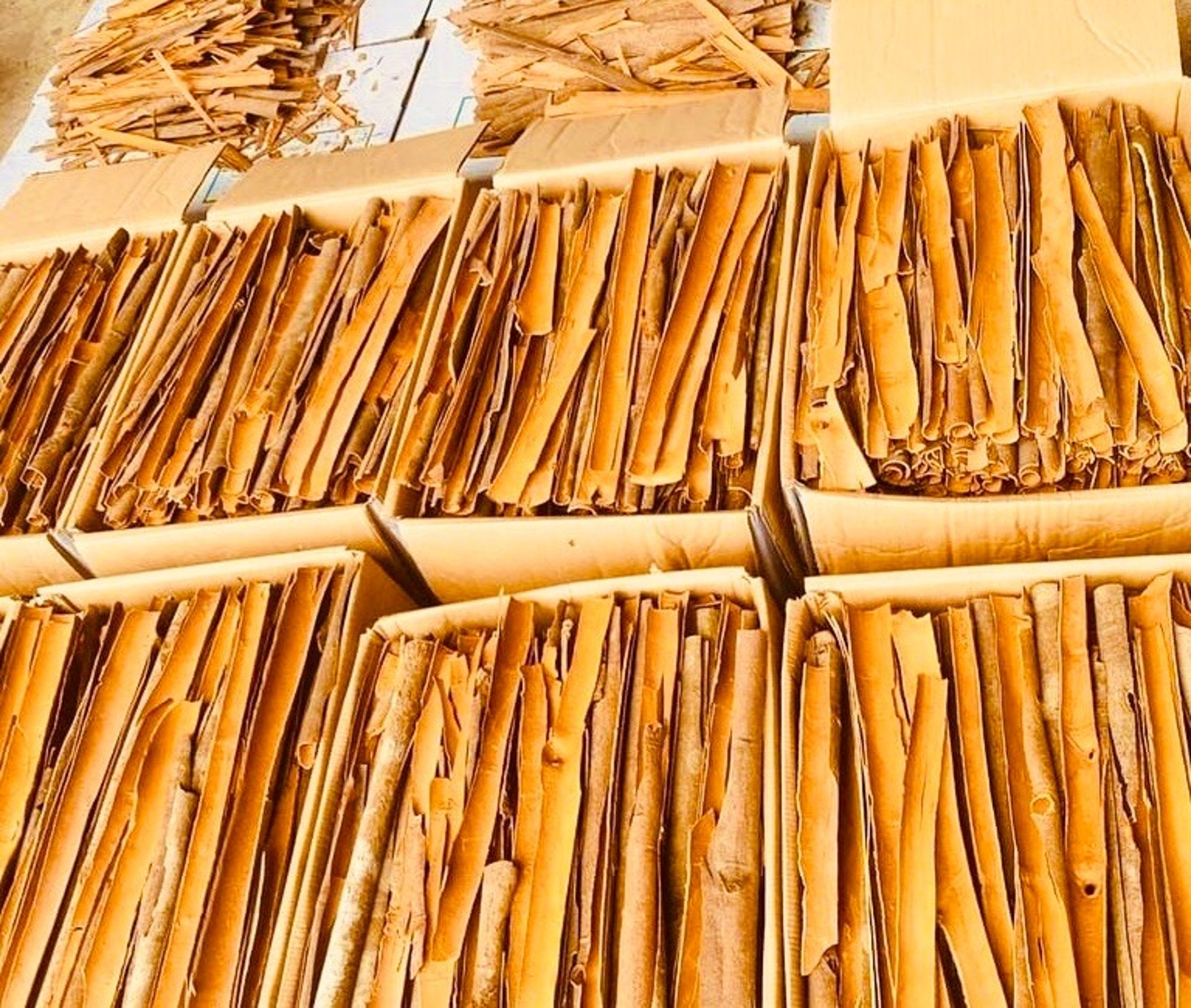 gray computer monitor