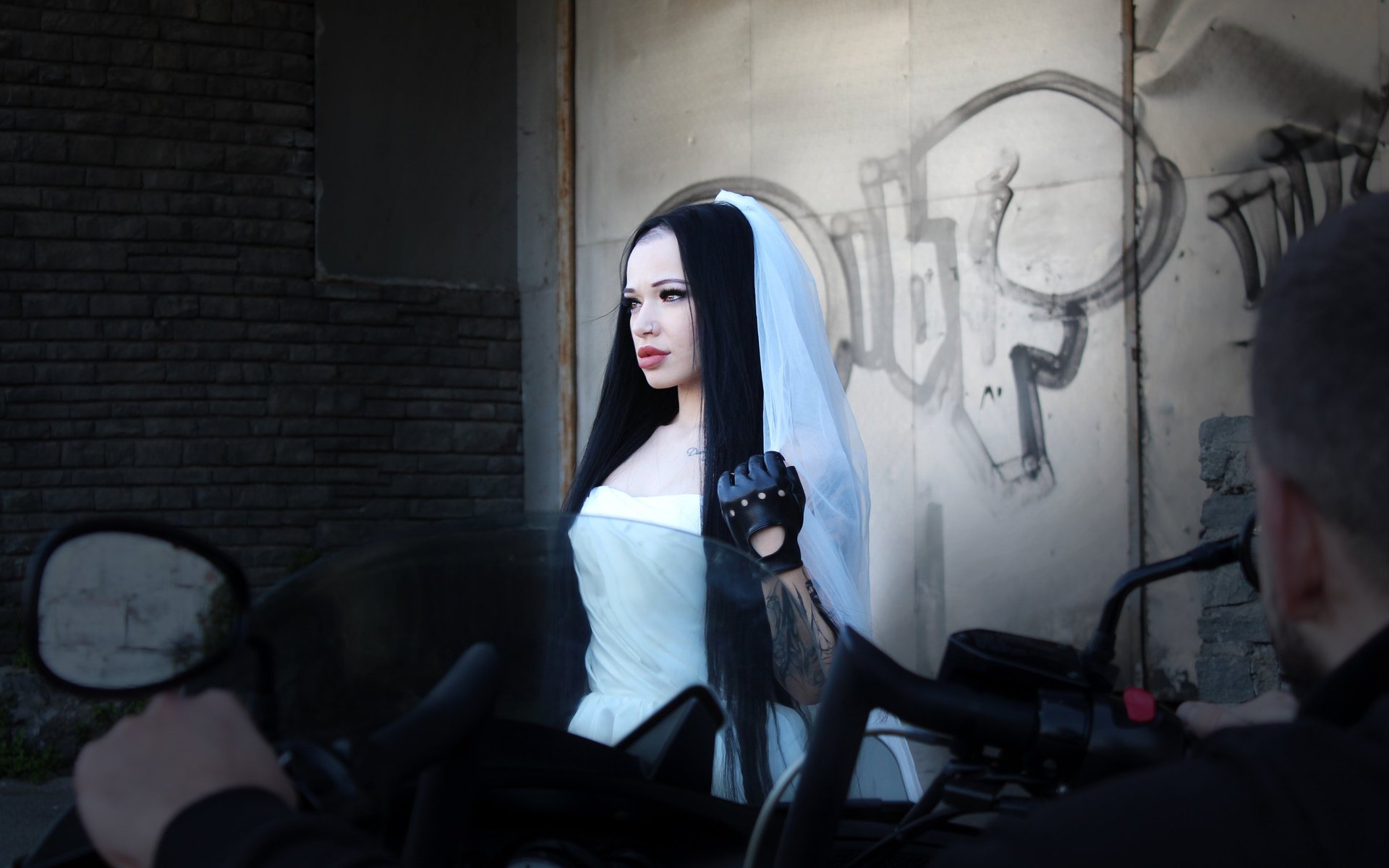 macro shot of white veil