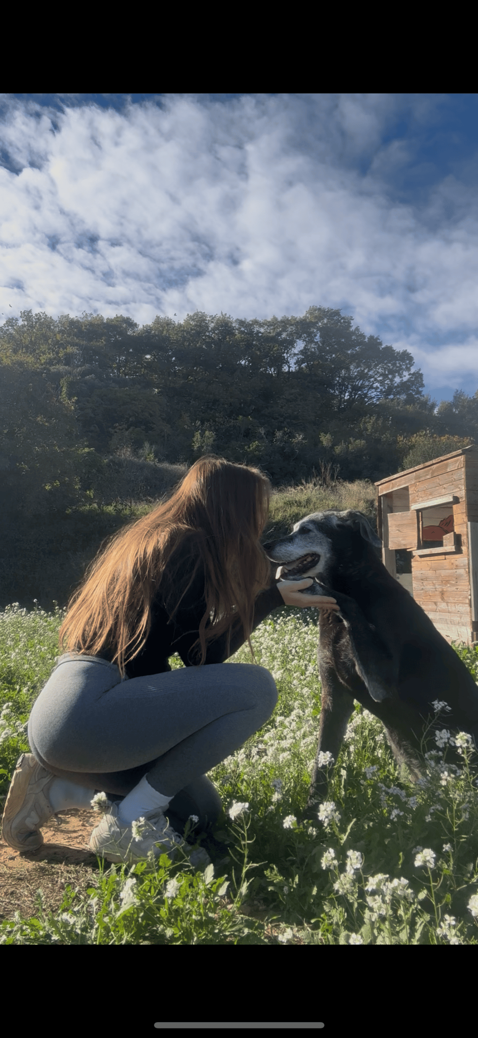 gray computer monitor