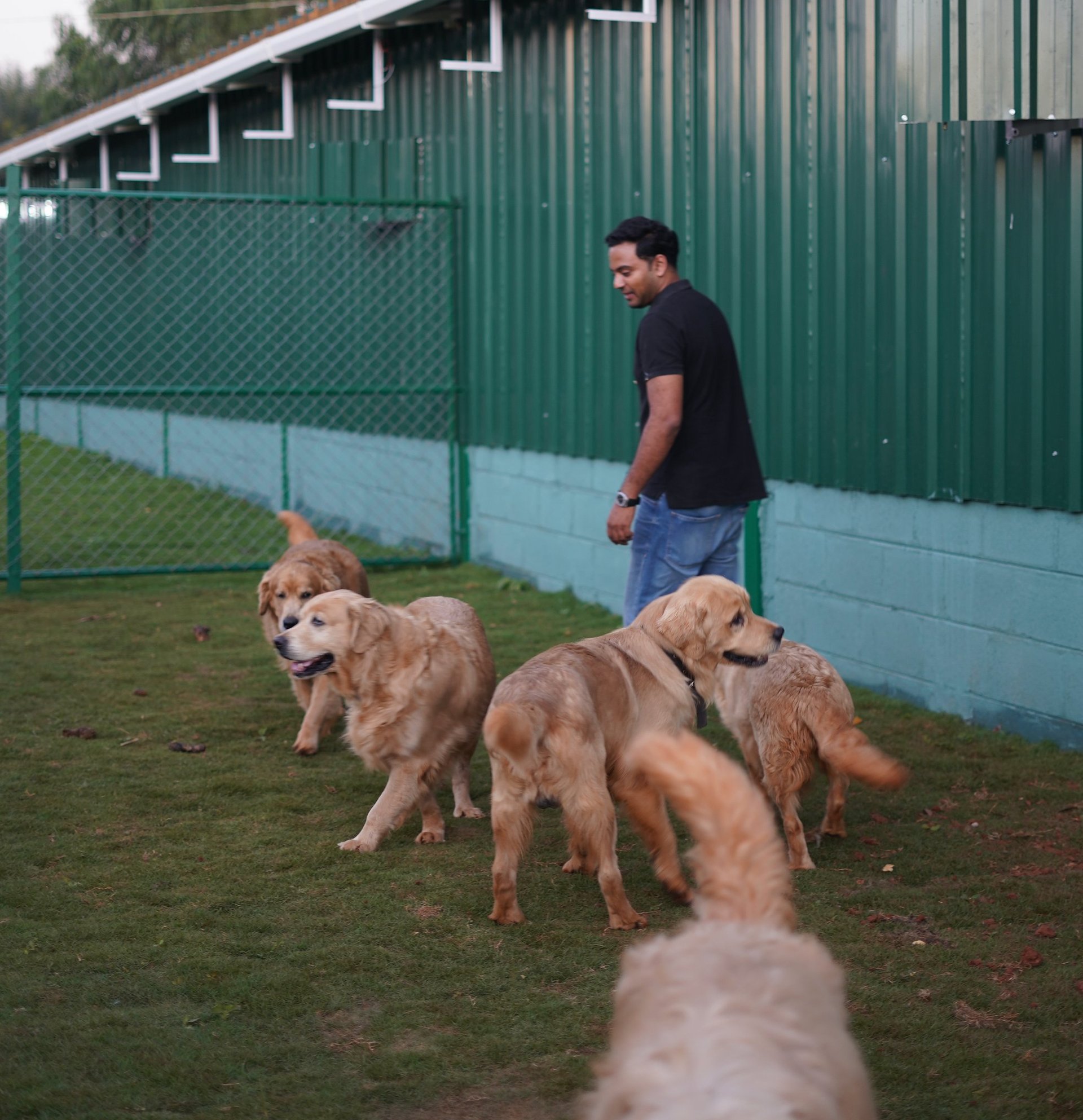 woman wearing yellow long-sleeved dress under white clouds and blue sky during daytime