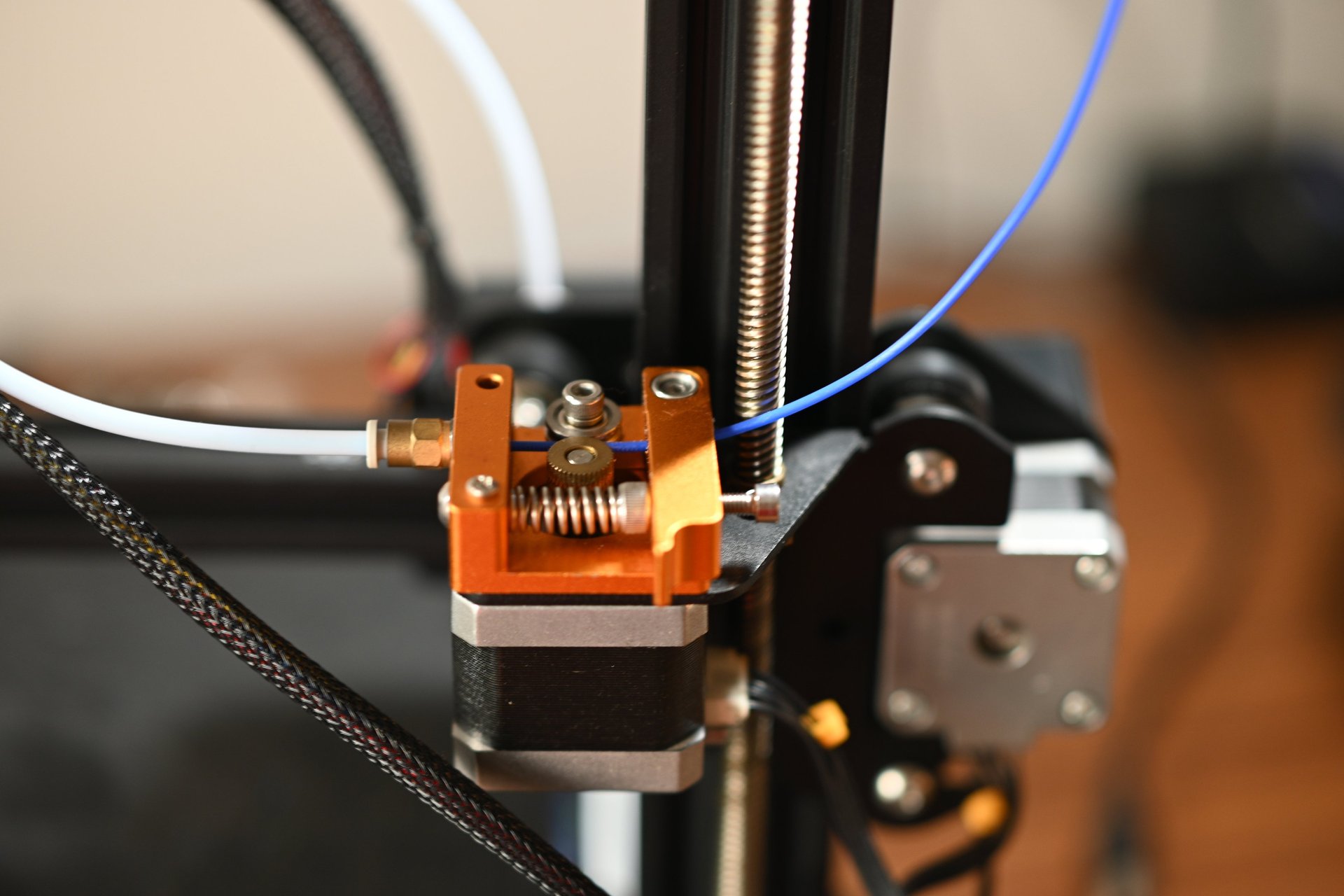 person holding black and white plastic cup