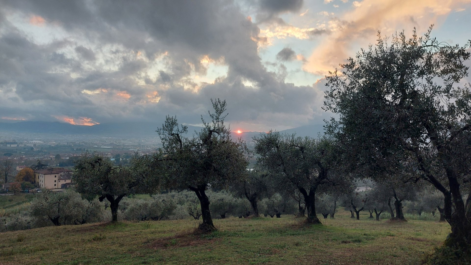 couple wearing silver-colored rings