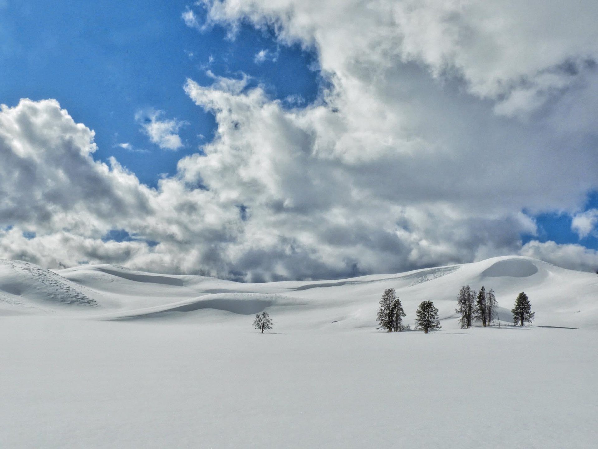 woman wearing yellow long-sleeved dress under white clouds and blue sky during daytime