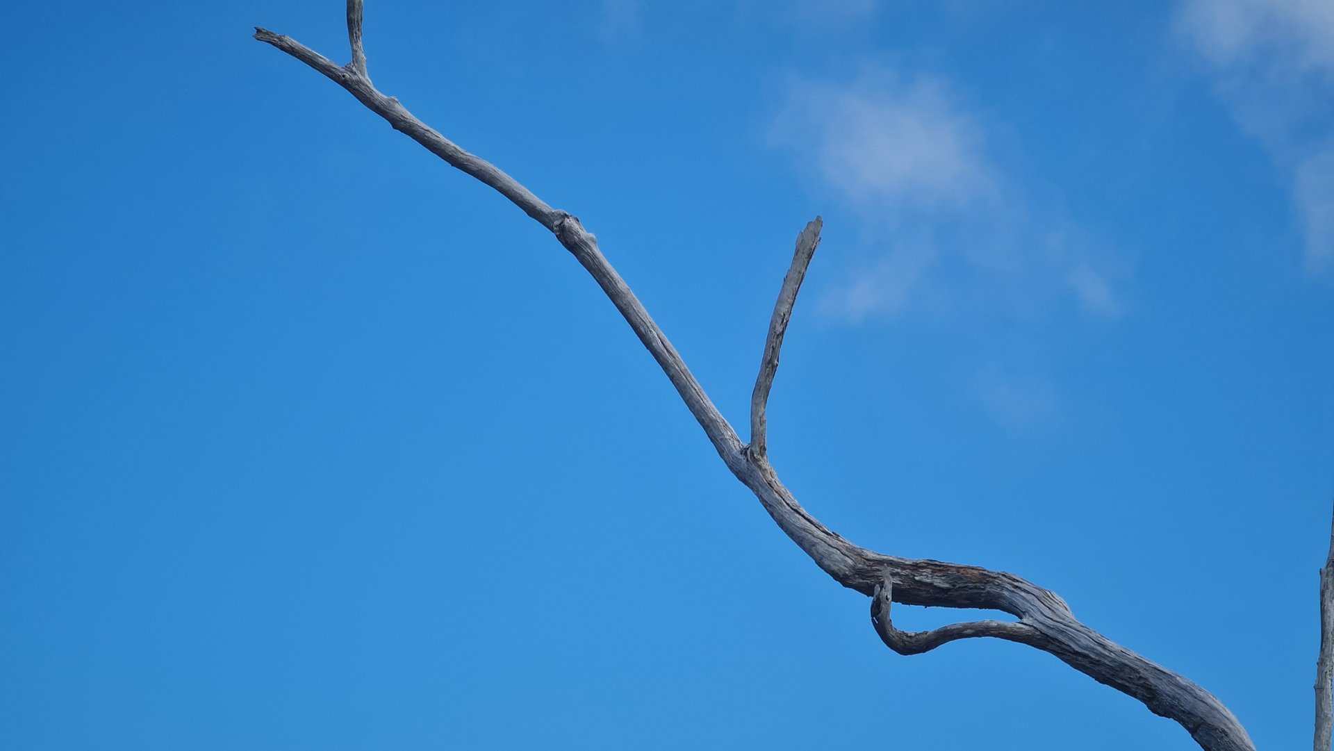 an abstract photo of a curved building with a blue sky in the background