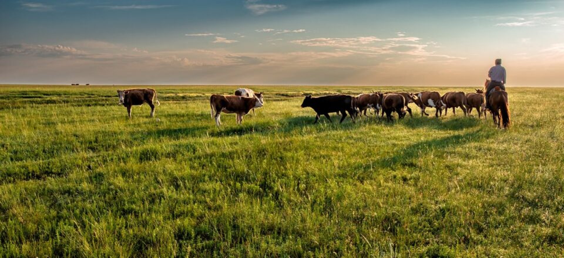 woman wearing yellow long-sleeved dress under white clouds and blue sky during daytime