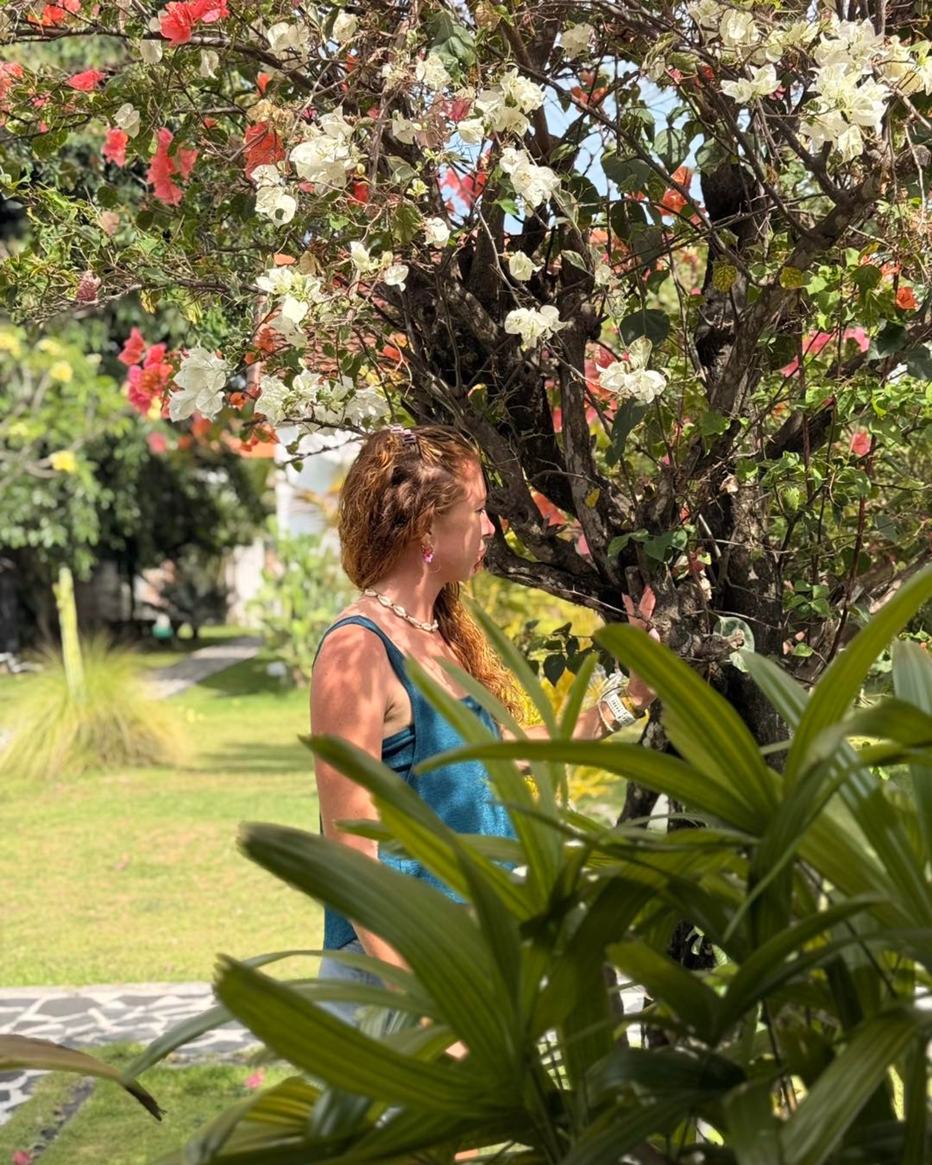 red and green flower petals on brown paper bag