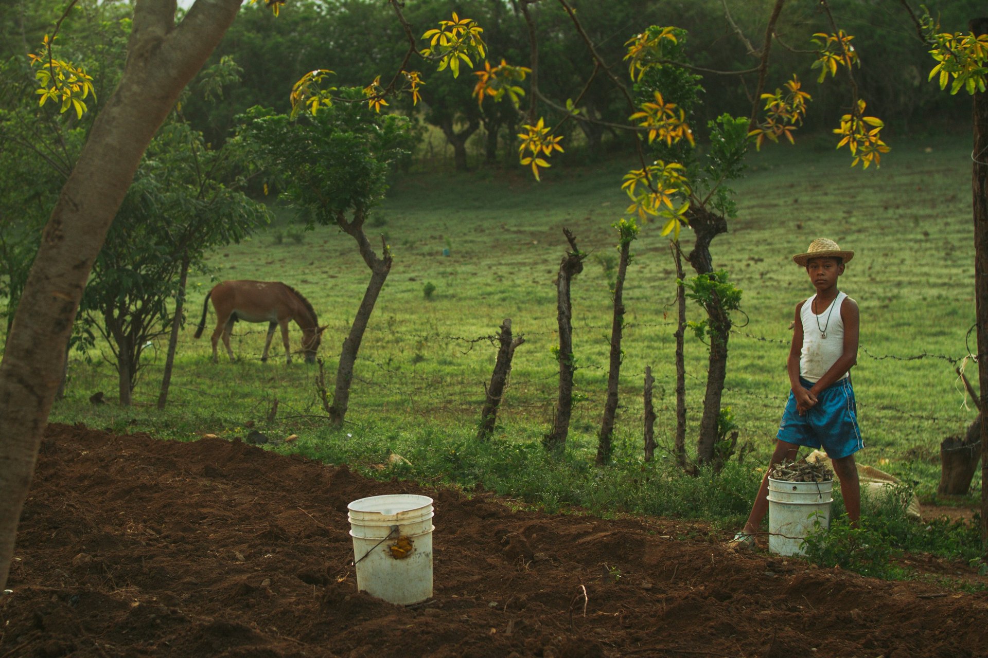 black nikon dslr camera on white printer paper