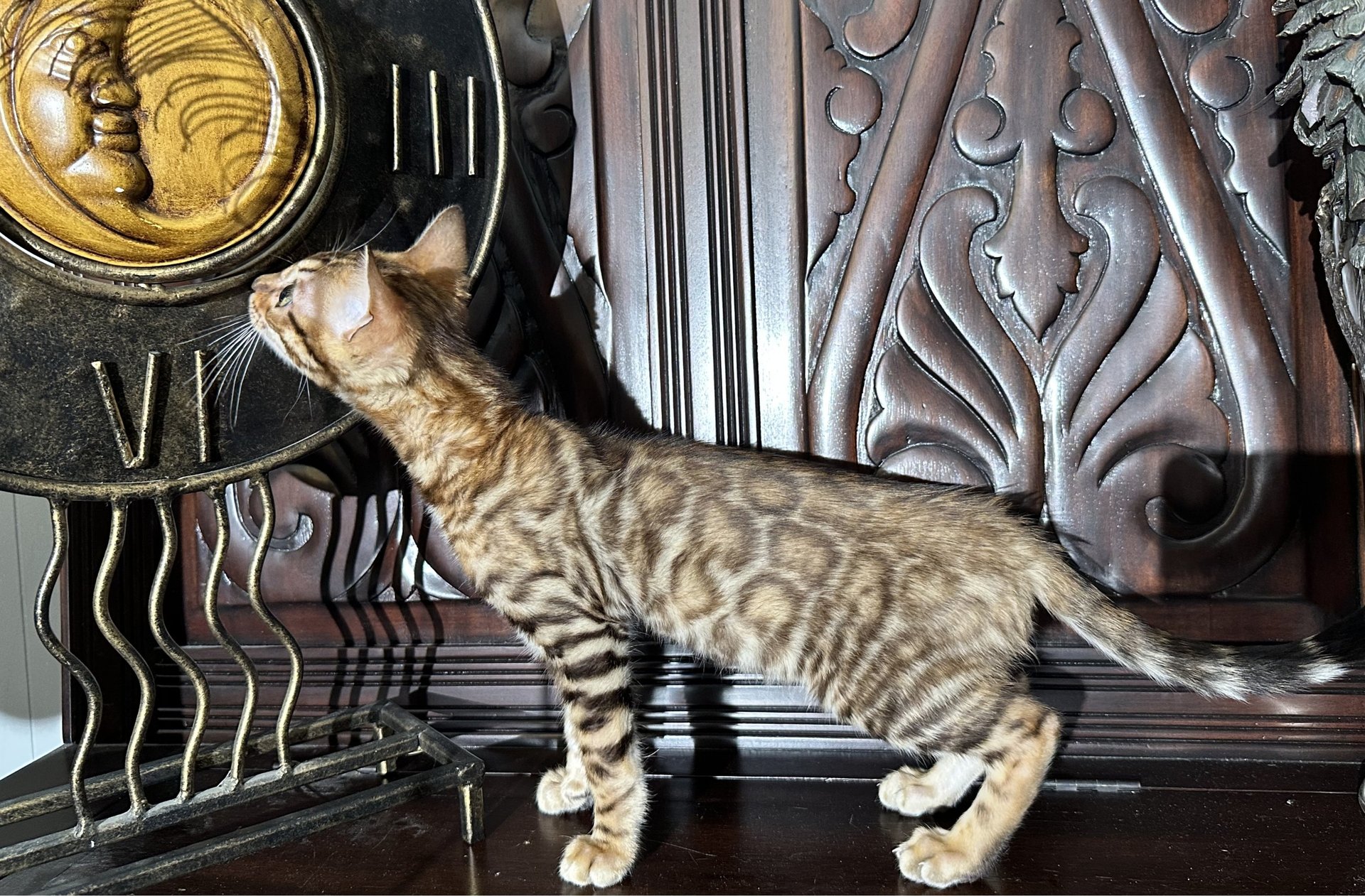 black and white bed linen