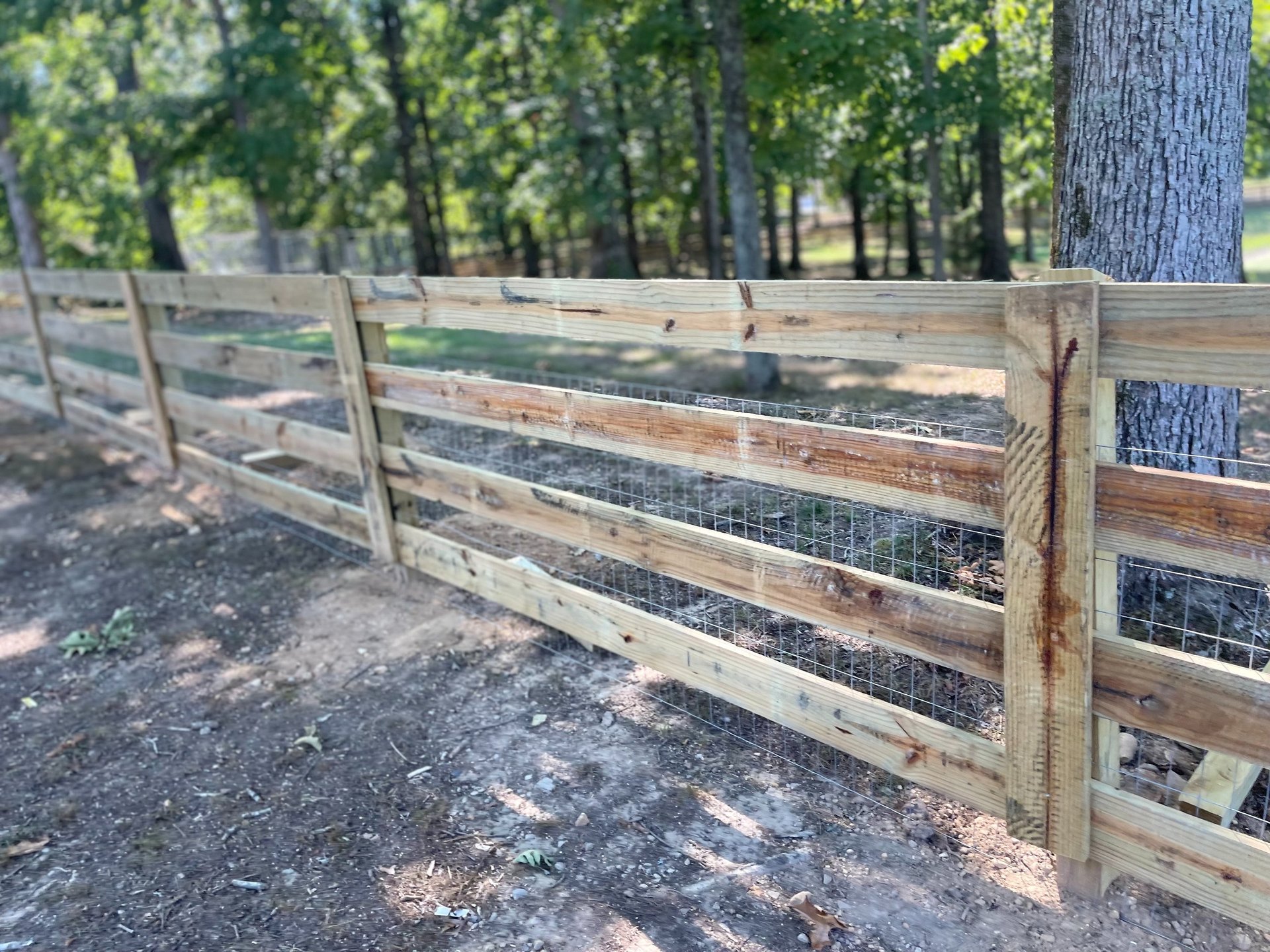 green grass field with trees