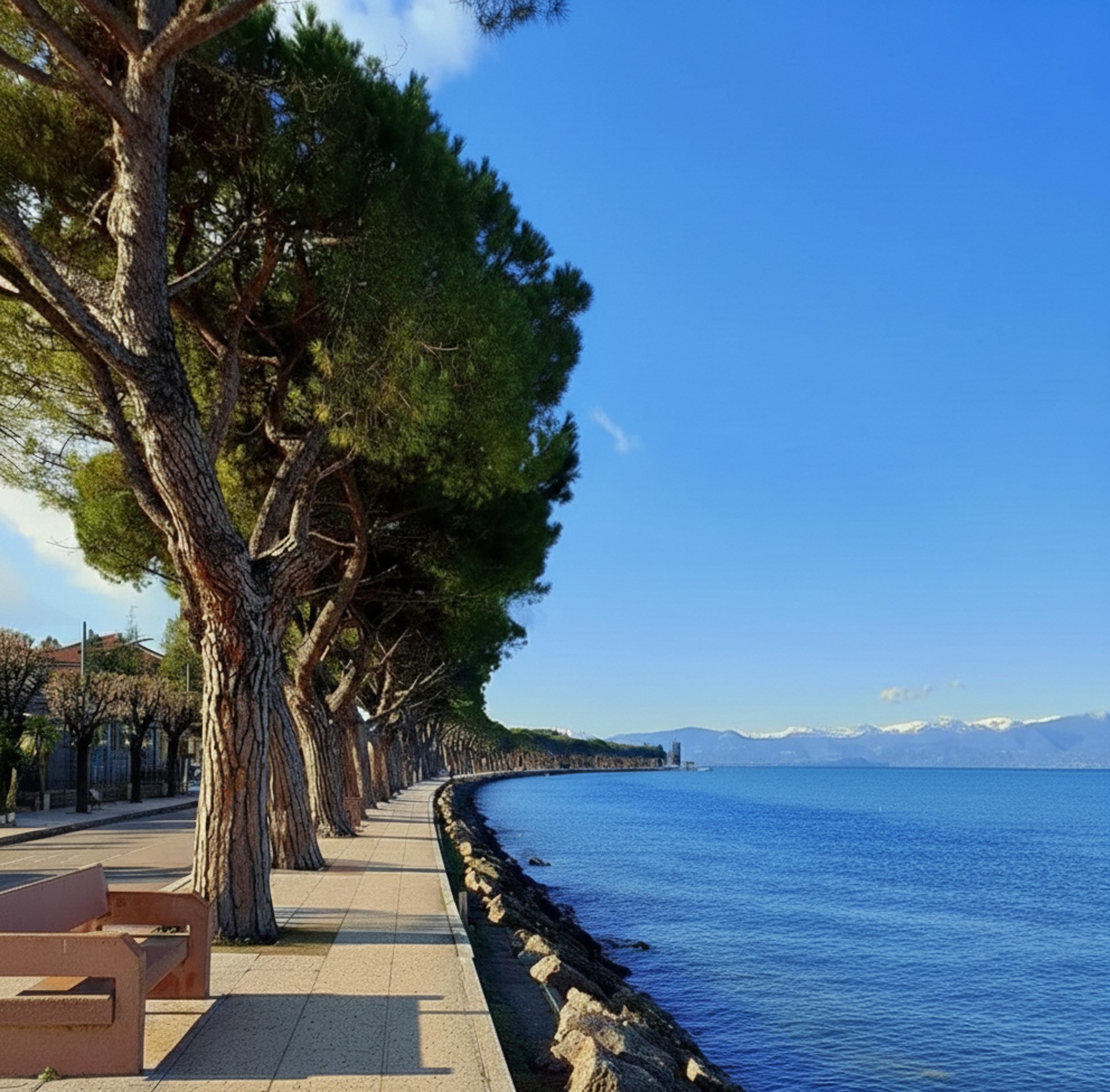 Contati-ipmresa-di-pulizie-Brus-Garda-Cleaning