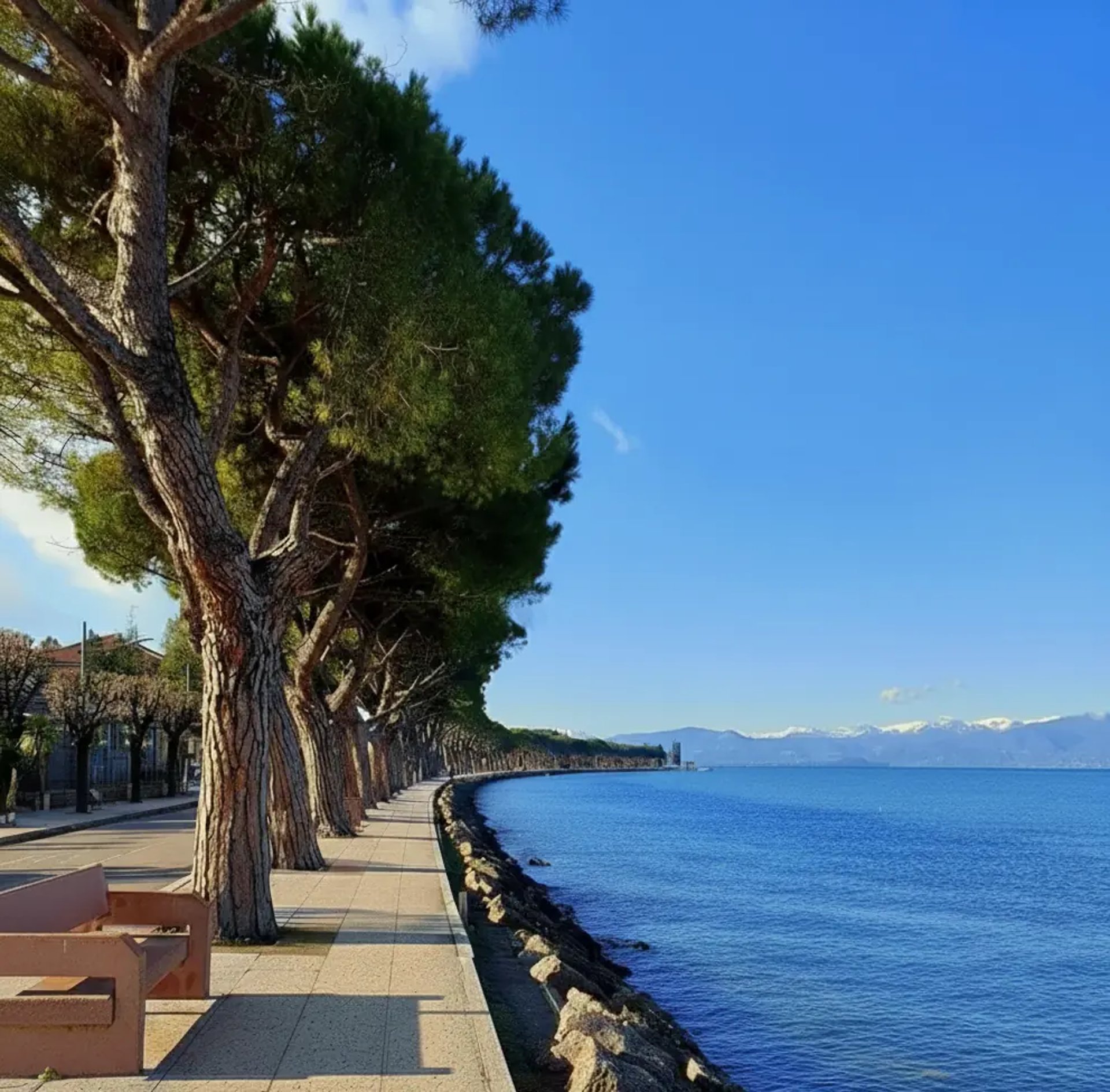 contatti-brus-garda-cleaning