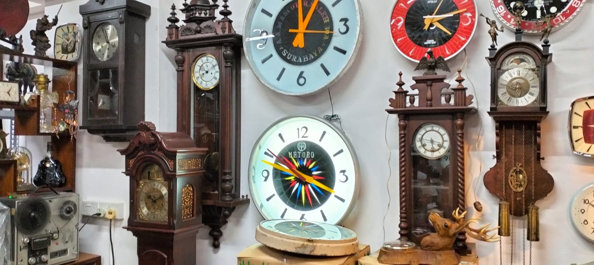 woman holding dried flower