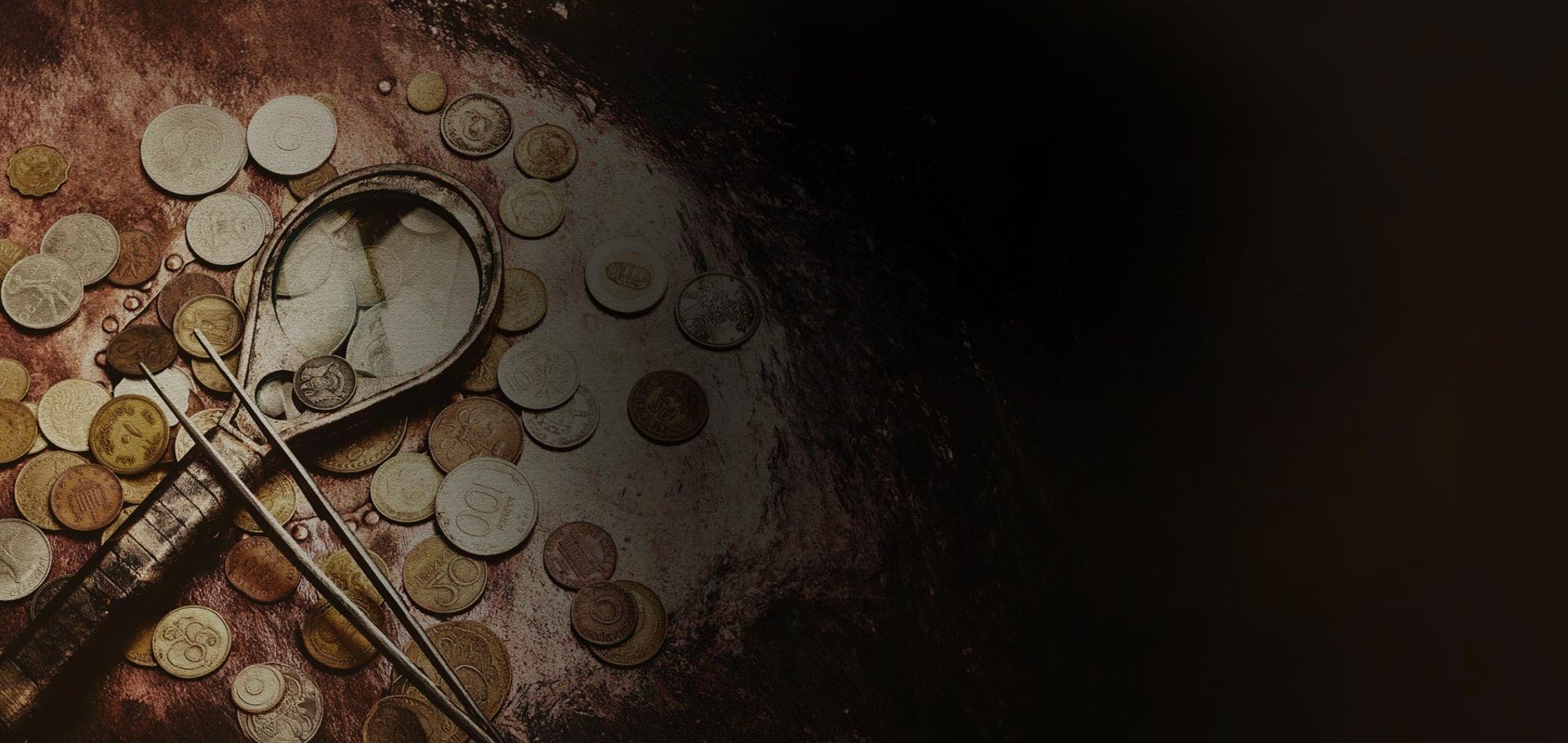 woman holding dried flower