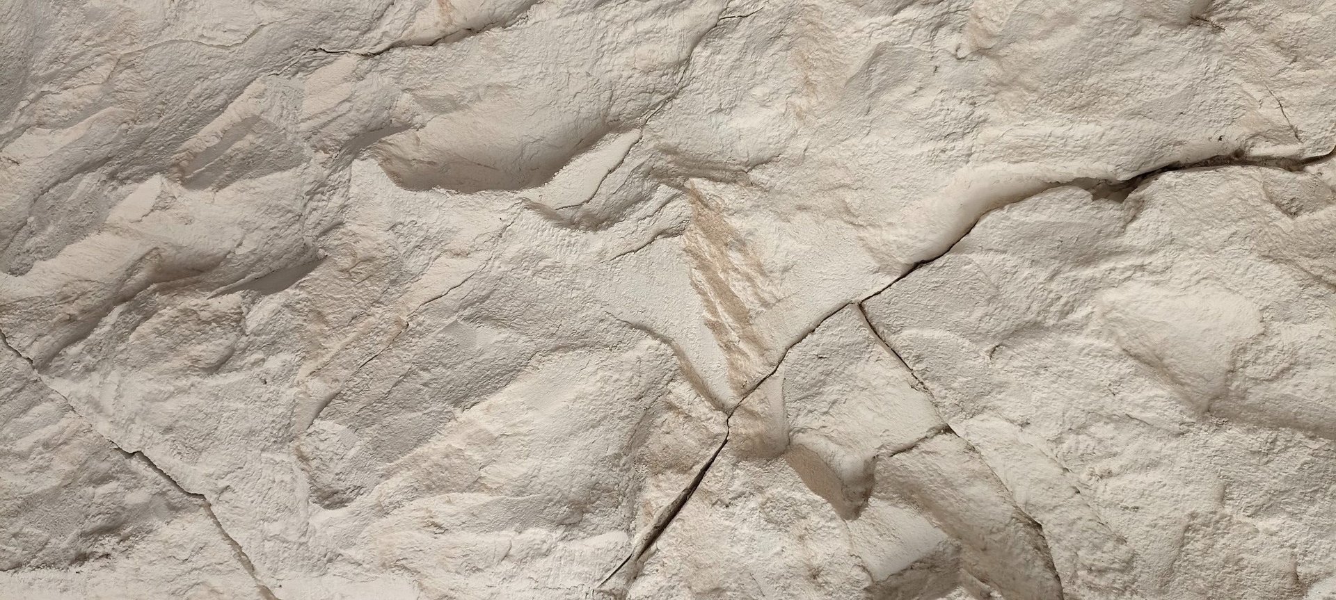 woman holding dried flower