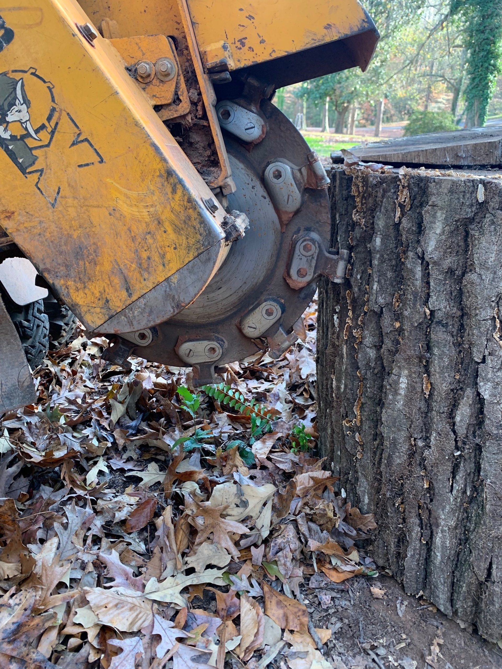 black and brown leather padded tub sofa