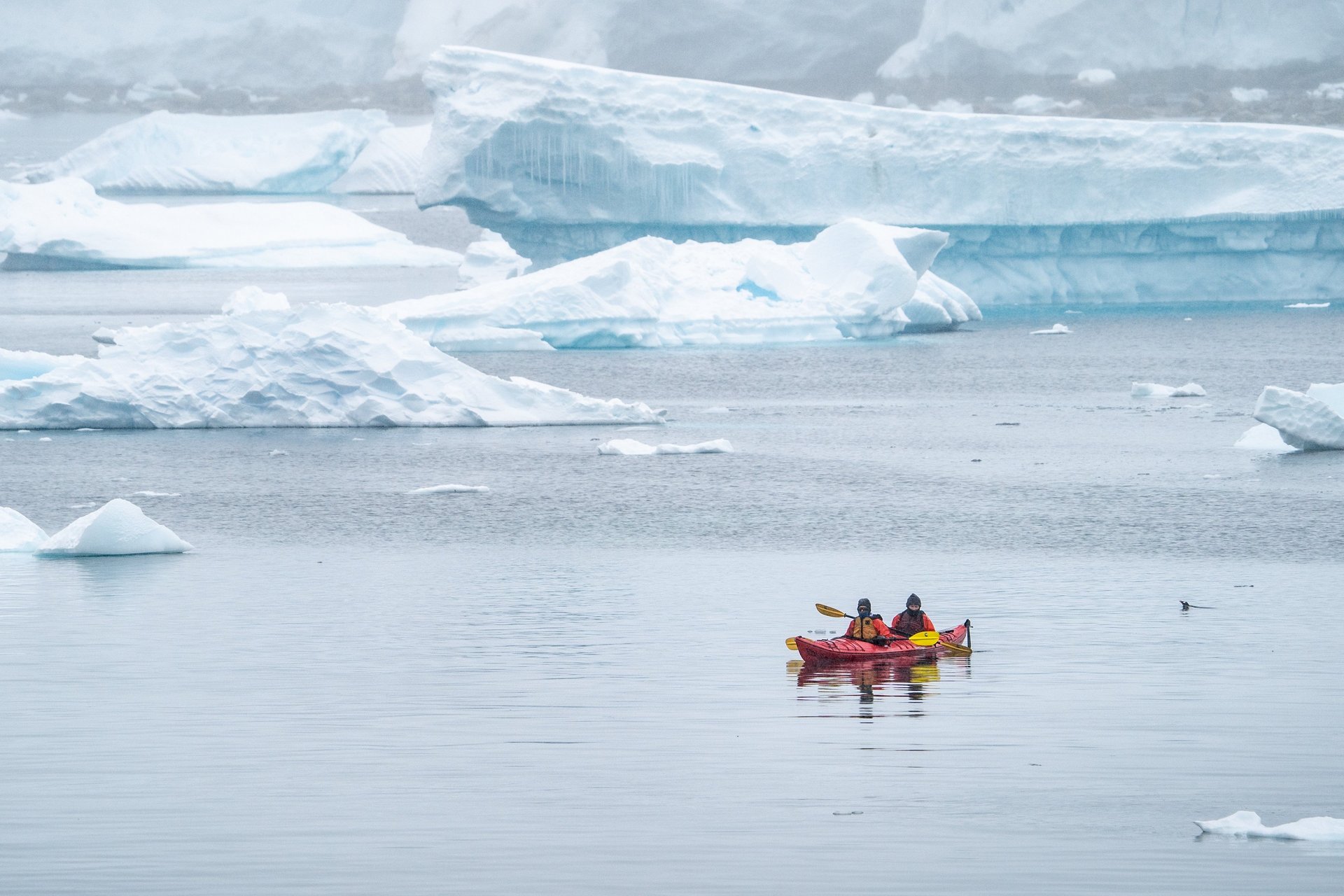 black and brown leather padded tub sofa
